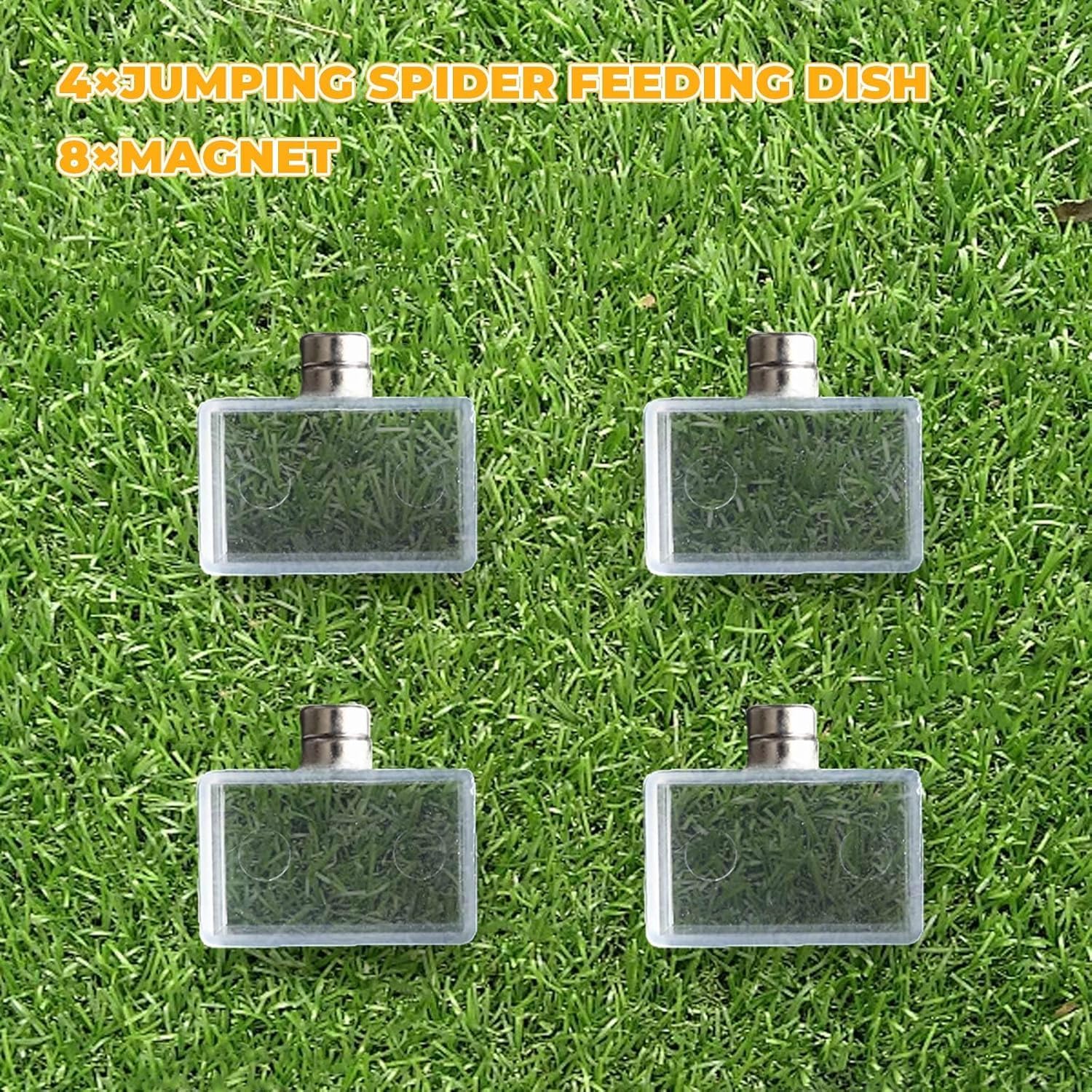 Dnoifne 4er-Pack Winzige Magnetische Wasserschale für Springspinnen & Vogelspinnen – Terrarium Zubehör, Kleine Futterschale für Spinnen und Andere Kleine Haustiere