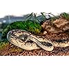 Product Photo 6
