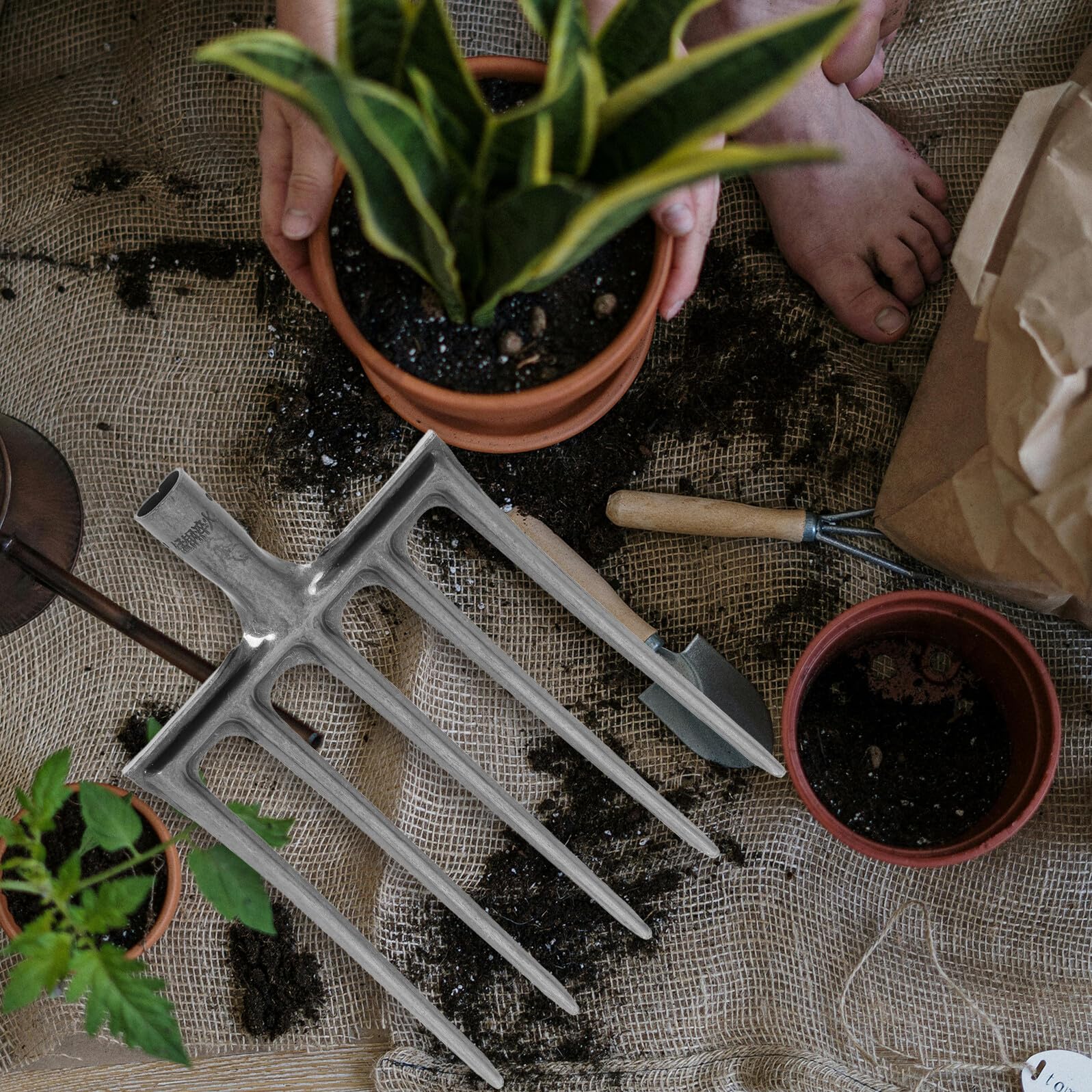 Forca da Giardino in Acciaio Argento 5 o 6 Denti per Lavorazione del Terreno e Sarchiatura, Resistente e Versatile per Orto e Attività Agricole