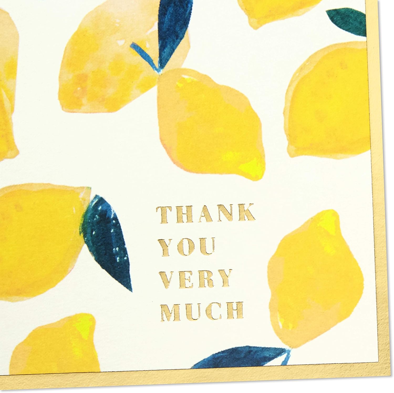 Hallmark Boxed Thank You and Blank Cards Assortment (Four Assorted Tropical Designs, 40 Note Cards and Envelopes) : Health & Household