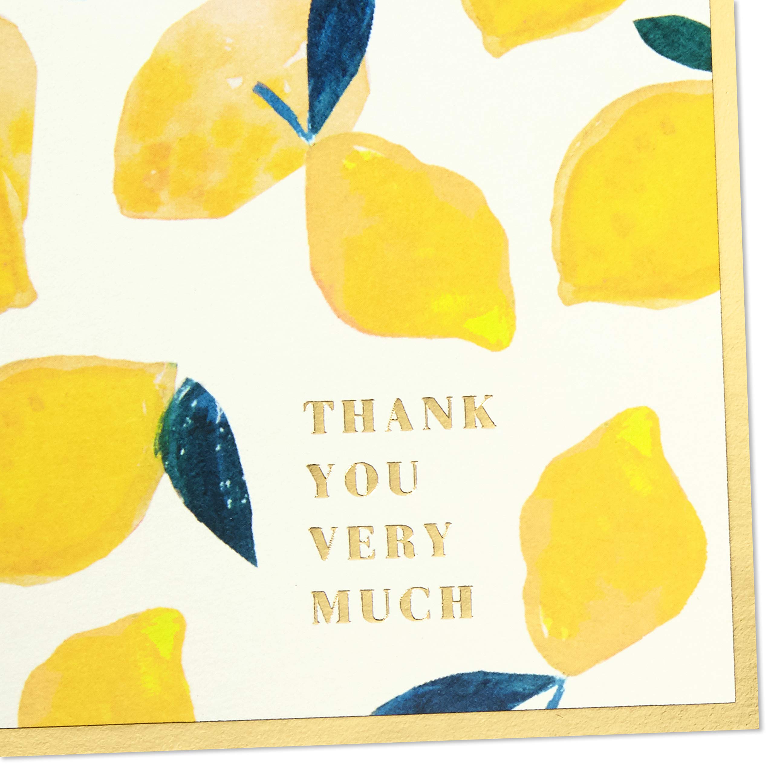 Hallmark Dankeskarten-Set – 48 Blanko-Karten Mit Umschlägen, Minimalistisches Design