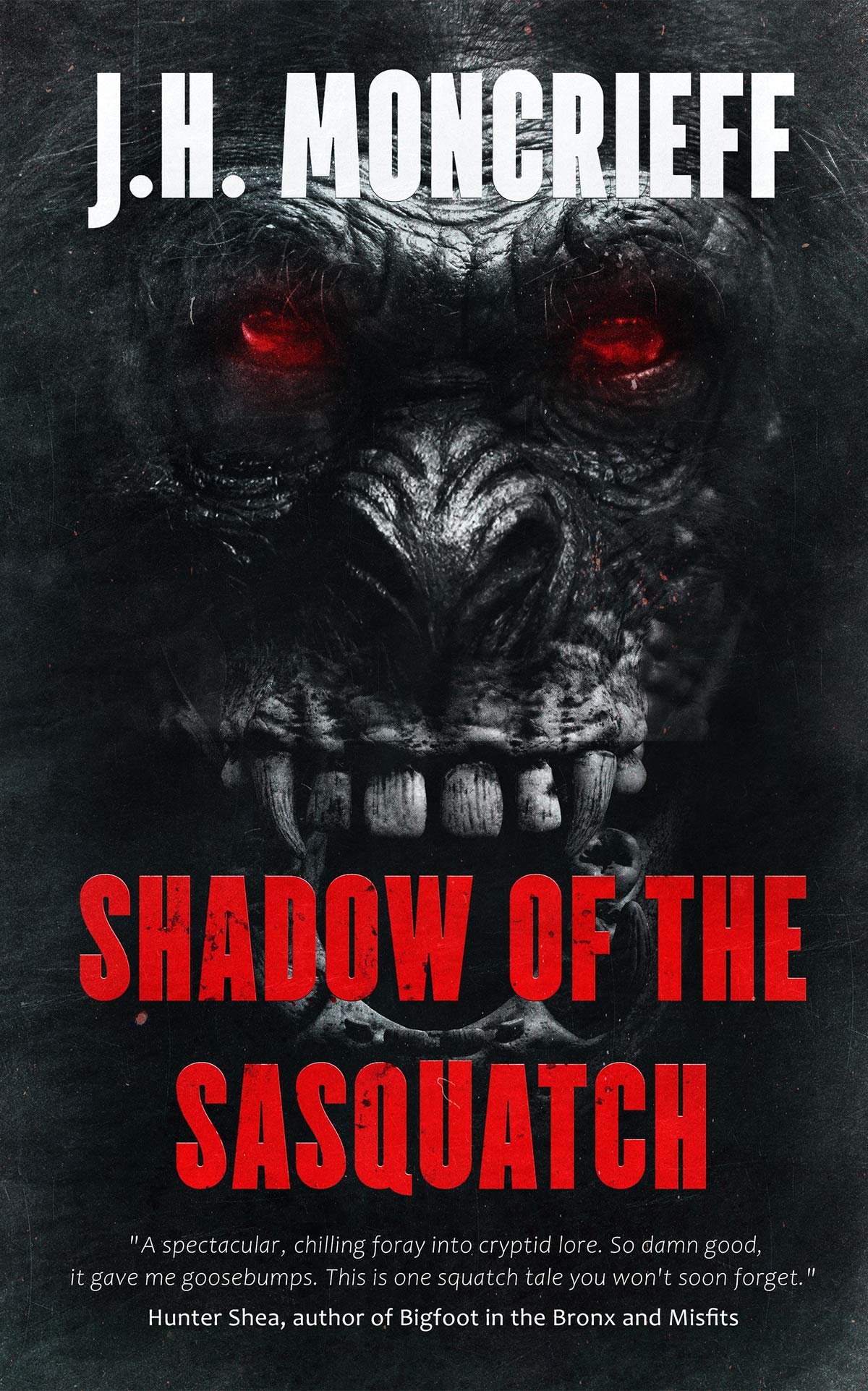 Cover of Shadow of the Sasquatch