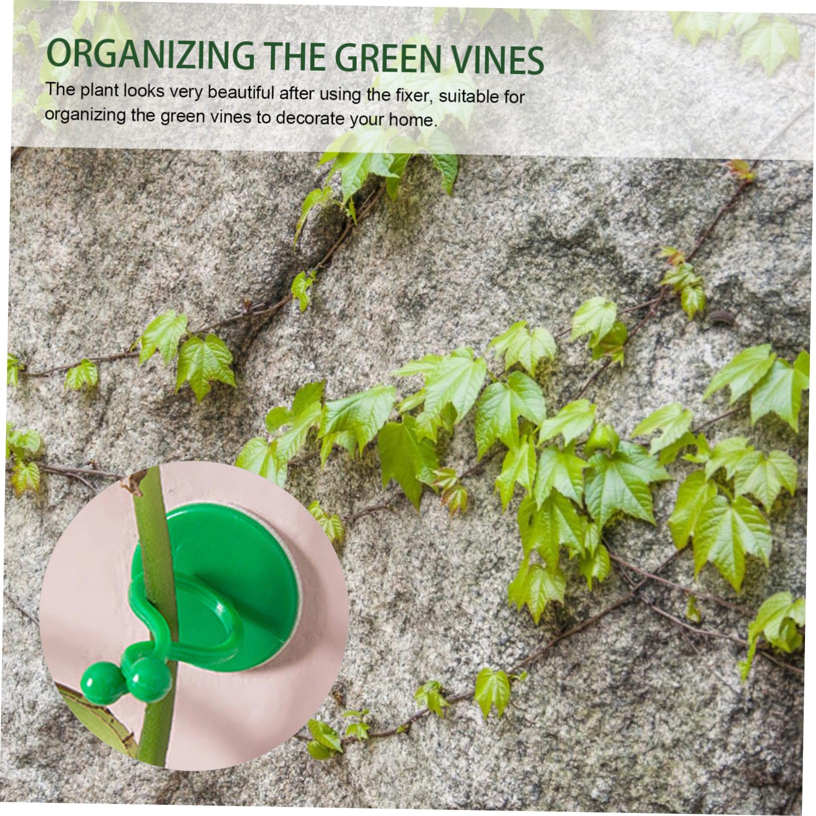 Sosoport 5 Sätze Kletterclip Für Pflanzen Hängender Pflanzer Hängende Künstliche Pflanzen Steht Tomatenpflanzenklammern Klebriger Rebenstützhaken Wand Gartenclips Green Abs 50 Stück * 5