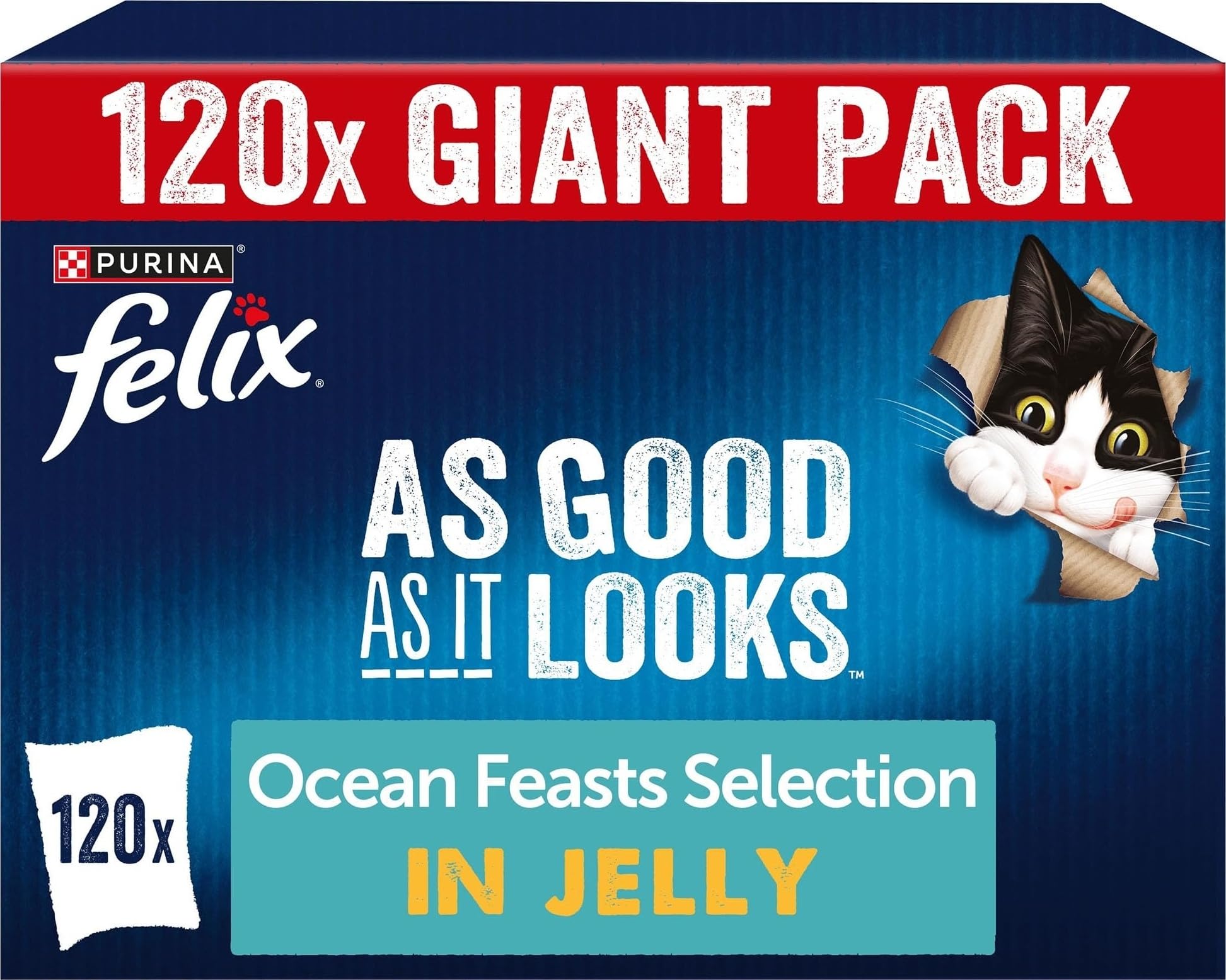 Felix As Good As It Looks Ocean Feasts Wet Cat Food - 120 X Salmon 85G