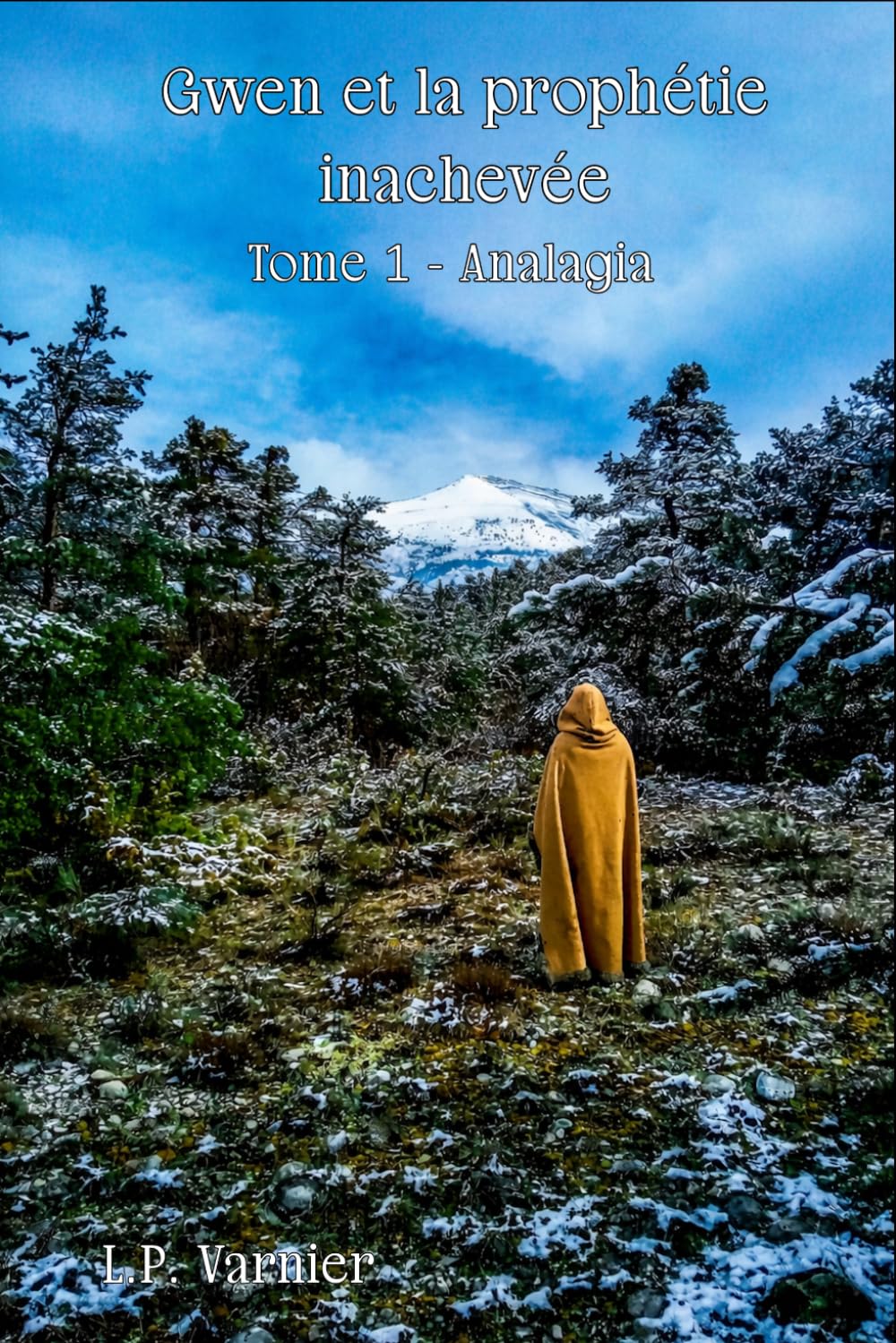 Gwen et la prophétie inachevée: Tome 1 - Analagia