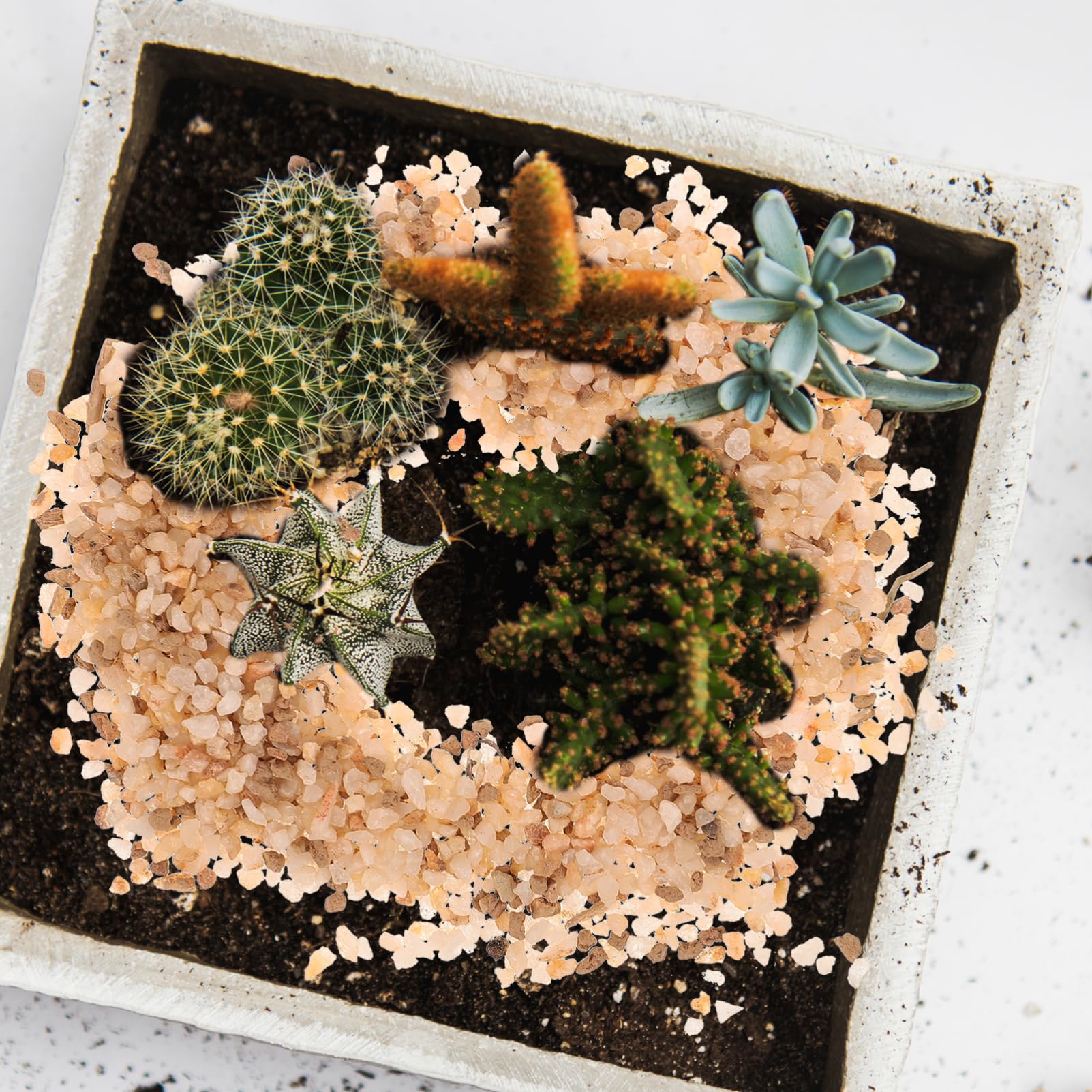 YARNOW Saco De Piedras Decorativas para Suculentas y Cactus Mezcla De Grava De para Jardinería Sustrato Natural para Plantas En Macetas