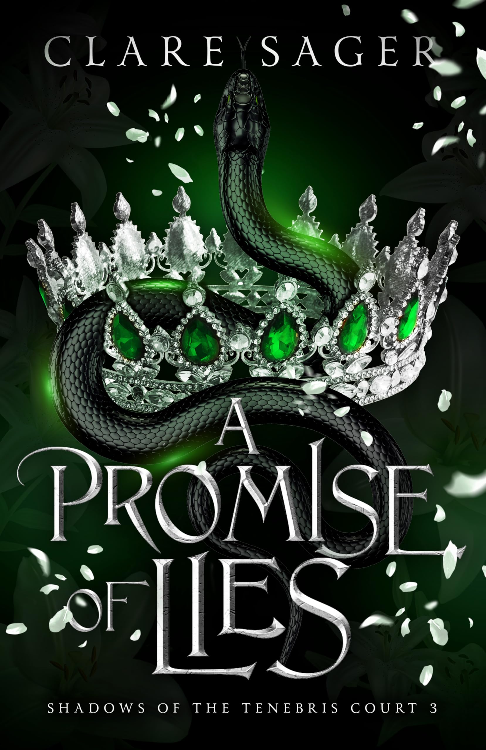 Cover of A Promise of Lies