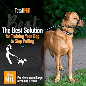 Total Pet Figure of 8 Slip Lead