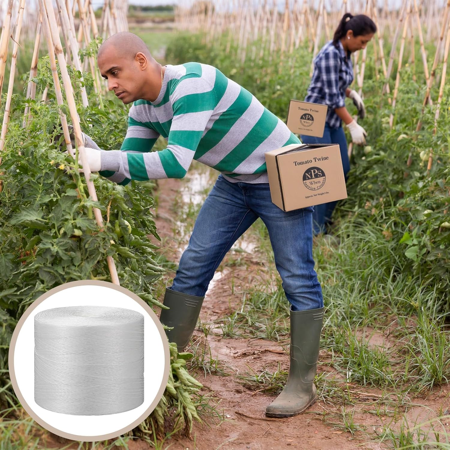 6150 Ft Tomato Tying Garden Twine with Cardboard Storage Box Heavy Duty White Polypropylene Twine for Florida Weave Trellis Tomatoes, Climbing Plants, Floristry