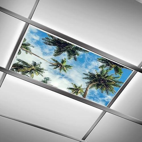 Cubiertas de luz fluorescente para la oficina del aula, filtros de luz LED de 2 x 4 pies, eliminan el deslumbramiento y la fatiga ocular, cubiertas