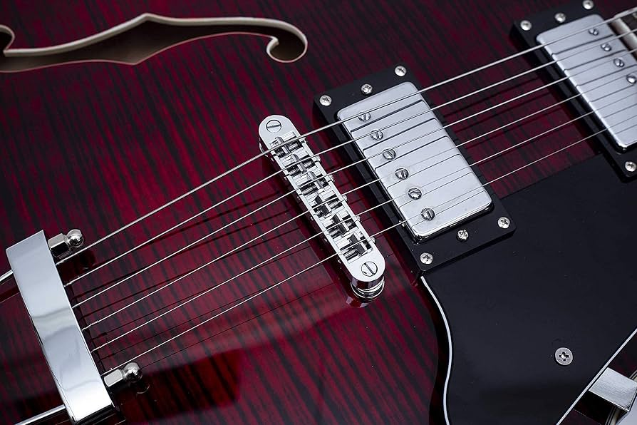 Amazon | エレキギター NEW GROTE 335 style Jazz Electric