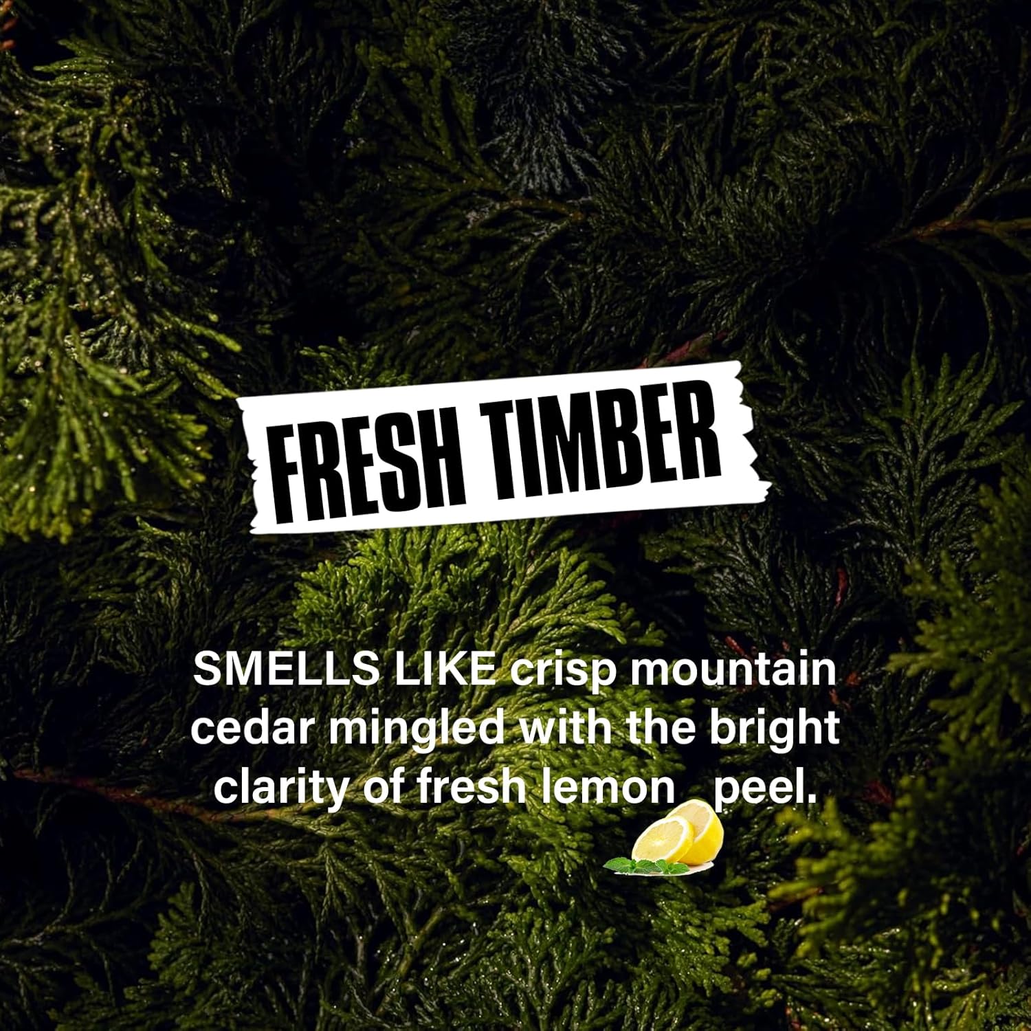 2-in-1 Beard Wash & Conditioner – Softens & Hydrates Dry, Coarse Beards for Effortless Styling – Cleanses & Conditions for Healthier, Fuller Facial Hair – Fresh Timber Scent – 8.45 fl oz - Image 6