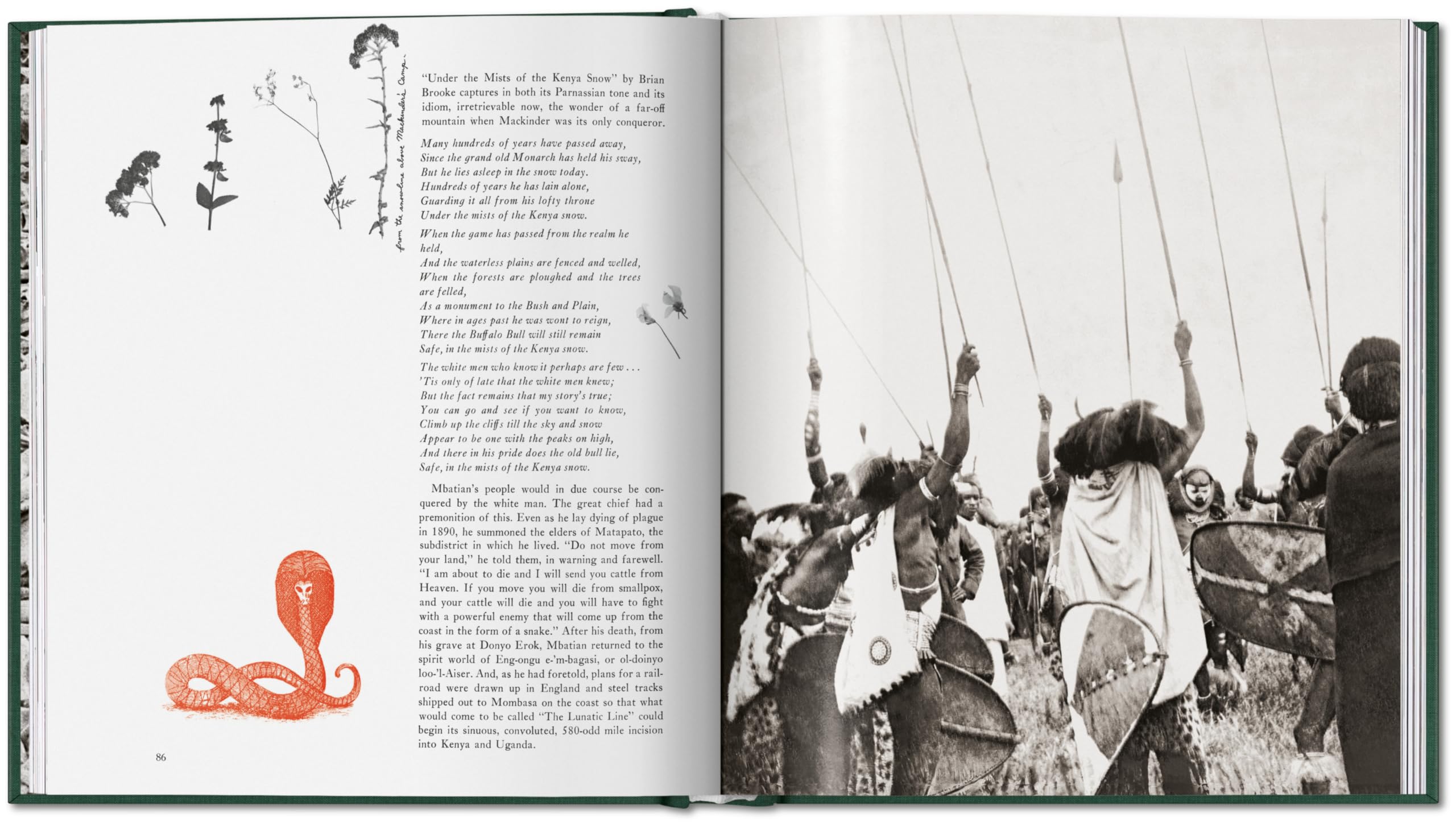 Peter Beard: The End of the Game