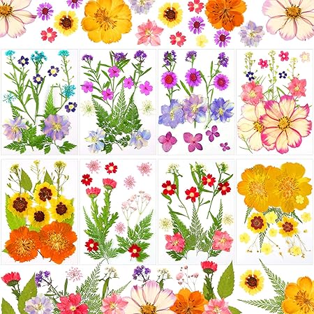 Amazon Com 8 Sets Dried Flower Mini Dried Flowers Dried Flowers For Nails For Diy Candle Resin Jewelry Nail Pendant Crafts Making Art Floral Decors Arts Crafts Sewing