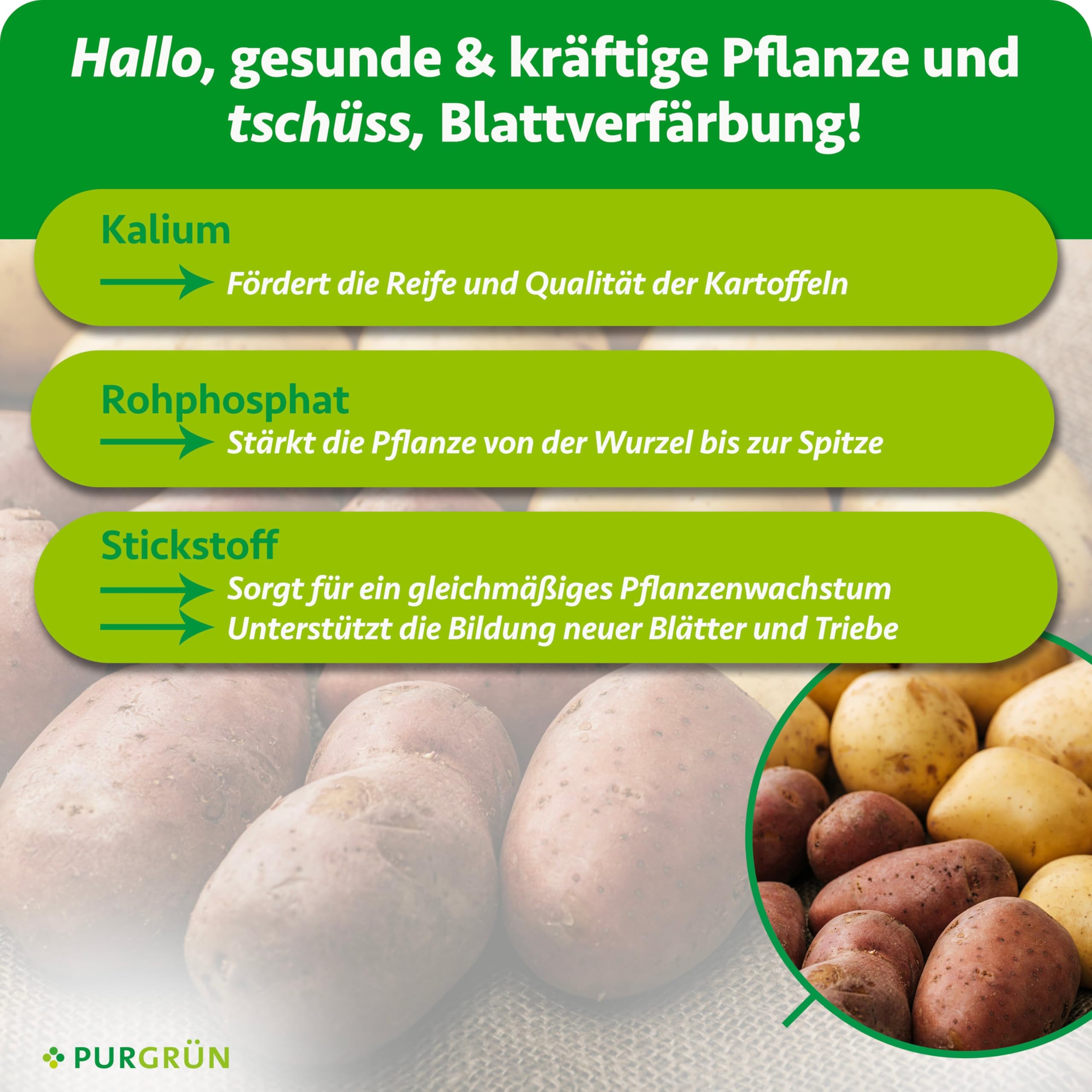 Bio-Kartoffeldünger 1 Liter – Hoher Ertrag dank extra Phosphor – Verbesserte Widerstandskraft dank extra Kalium – Bio & Vegan – Premium-Flüssigdünger – Konzentrat für 100 Liter Wasser