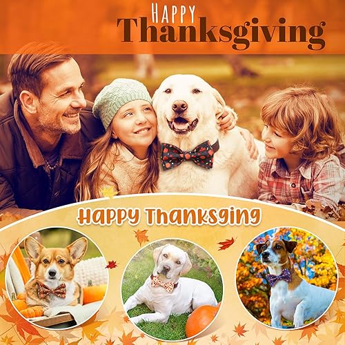 Miniatura 6 de Paterr 50 piezas de collar de Acción de Gracias para perro, accesorios de collar de perro de otoño para perros, lazos con bandas elásticas, dijes