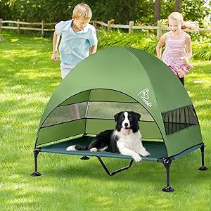 How to Choose Dog Tent Beds - Tips, Advice And Comparison 6 81Fv1v5202L. AC SL300