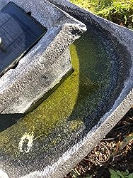 Water Feature Klear - Pastiglie Contro Alghe Per Fontane E Laghetti, Naturale