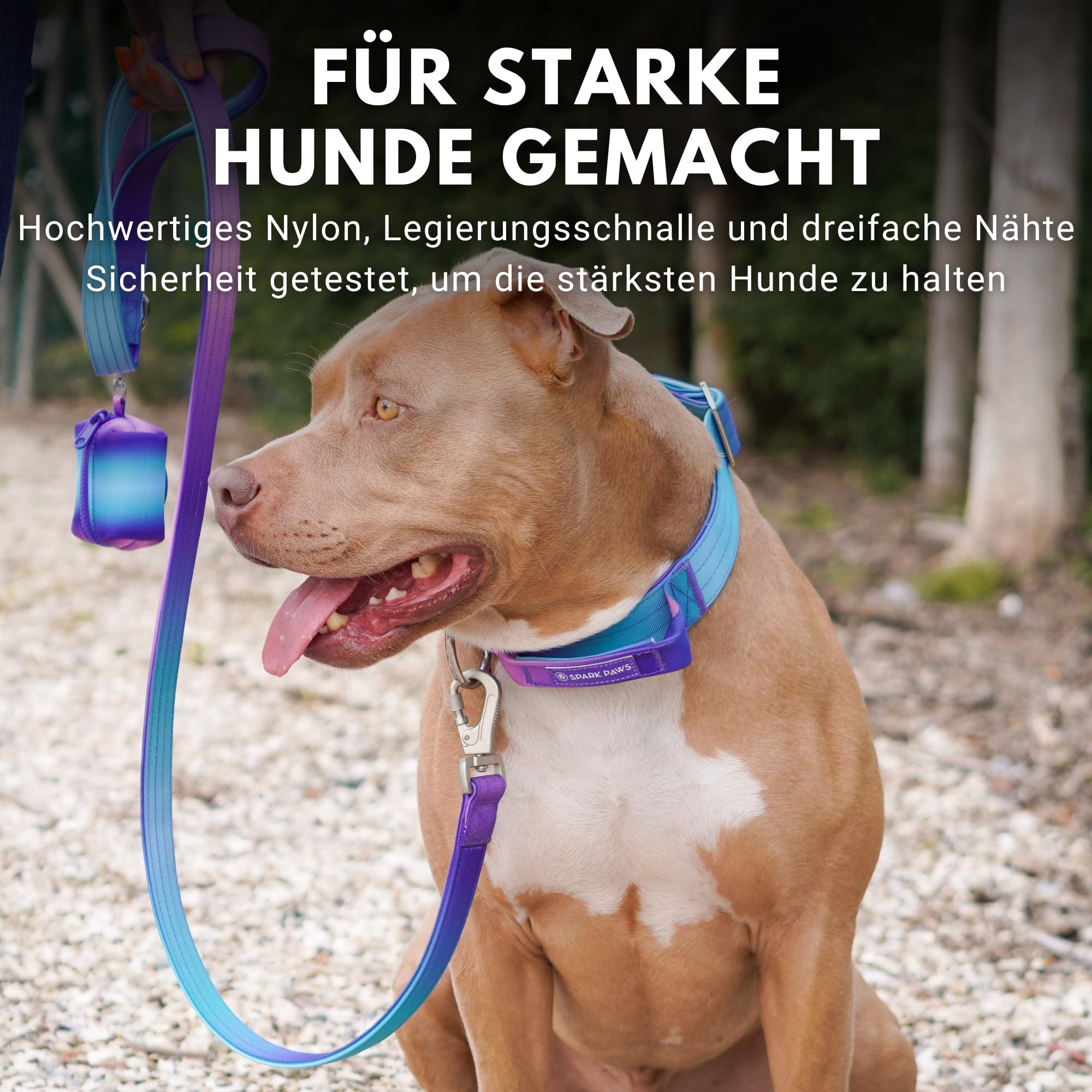 Spark Paws Taktisches Hundehalsband  Robuste, Premium-Qualitt, Dick und  Langlebig fr Groe und Mittelgroe Hunde (5cm/2in Width) - 90s Retro - M,  5cm : Amazon.de: Haustier