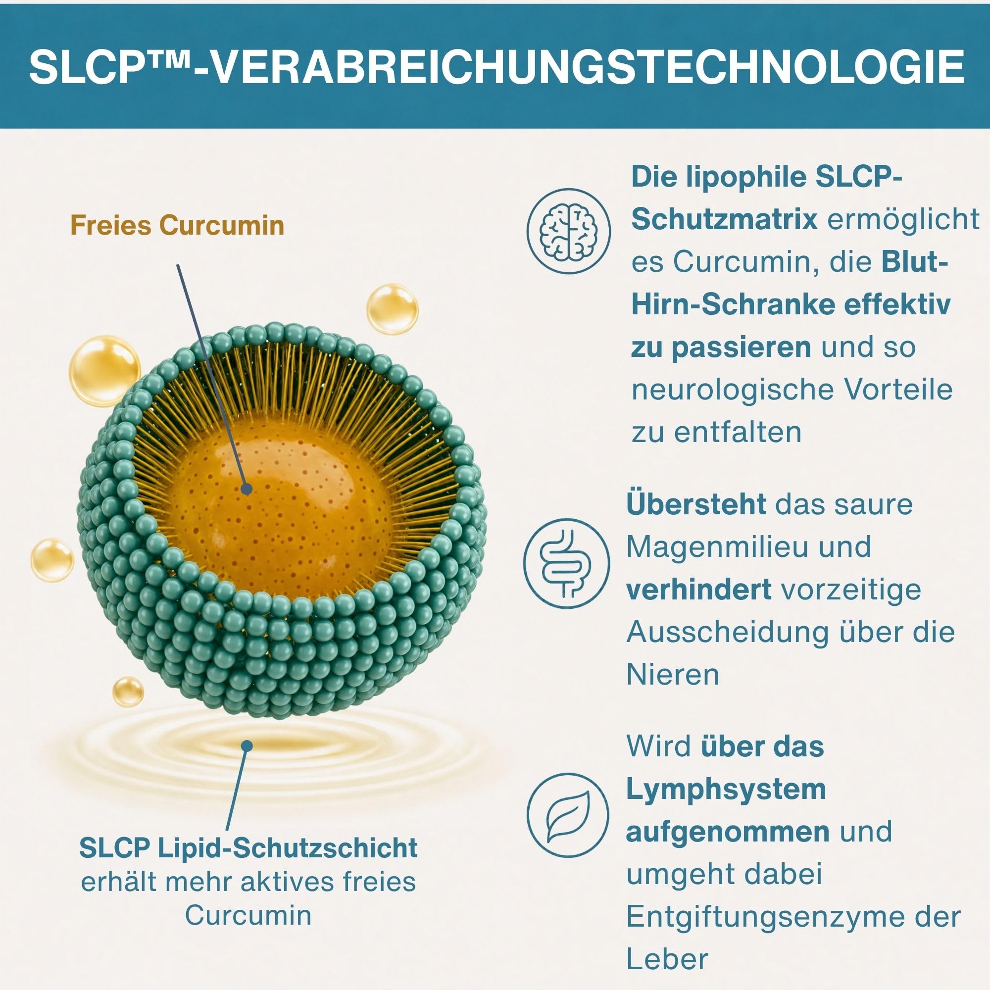 Longvida Curcumin 500 mg, hochdosiert, 285x höhere Bioverfügbarkeit als standard Kurkumin, sichere Langzeitanwendung, vegan, 30 Kapseln