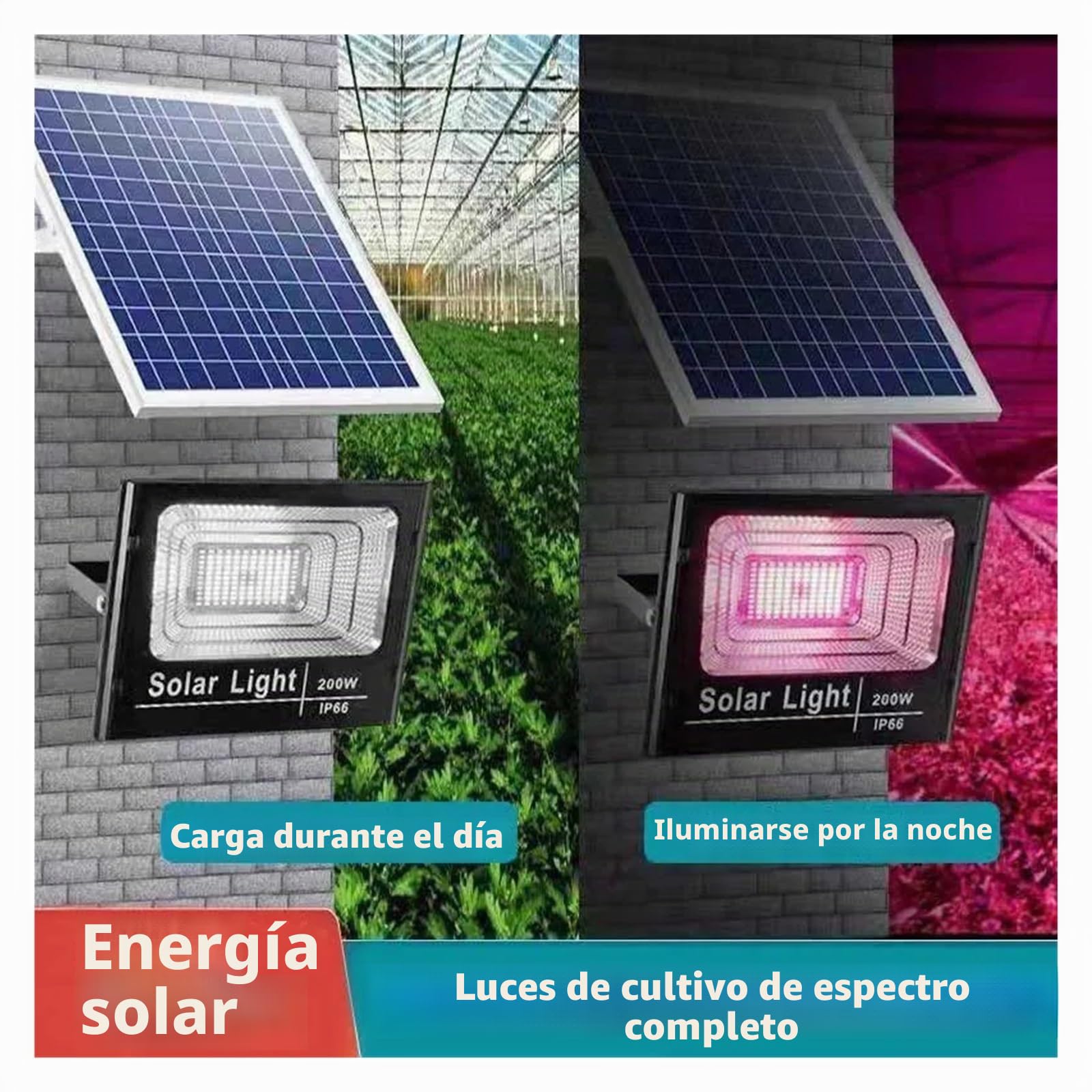 Luz de cultivo LED, Luz LED Solar for cultivo, reflector de espectro completo, luz de cultivo de plantas con control remoto, fitoamplificador impermeable for plantas de interior y exterior Para planta