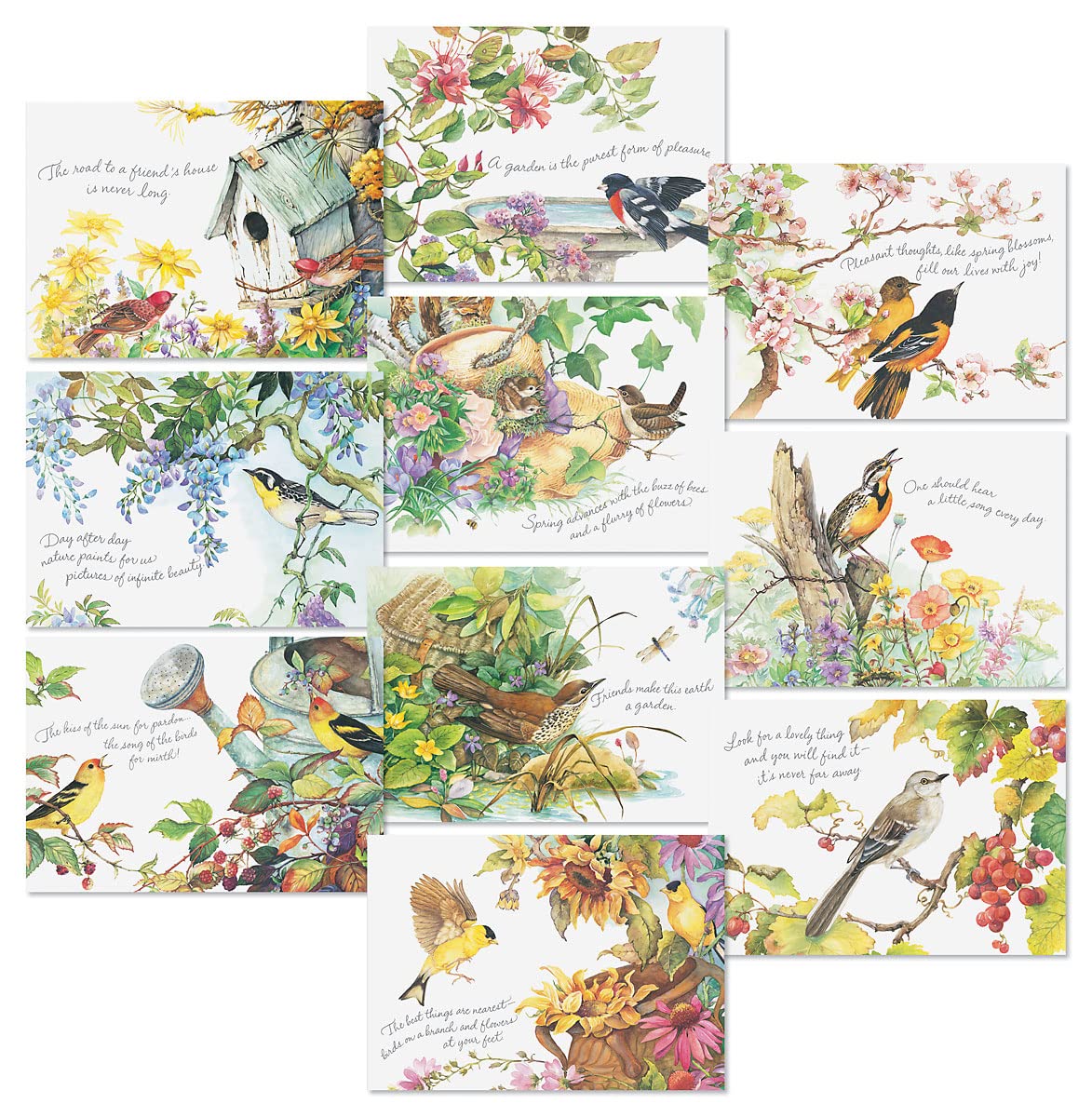 Nature's Serenade Religious Thinking of You Greeting Card Value Pack- Set of 20 (10 designs) Faith and Friendship, 5