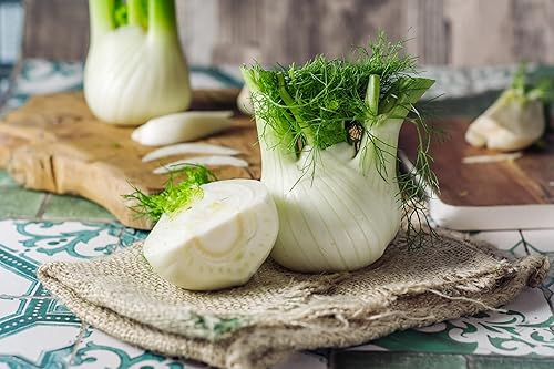 Miniatura 8 de TKE Farms & Gardens - Semillas de hinojo Florence para plantar, 0.04 oz, 200 semillas de reliquia, sin OMG, el paquete incluye instrucciones para