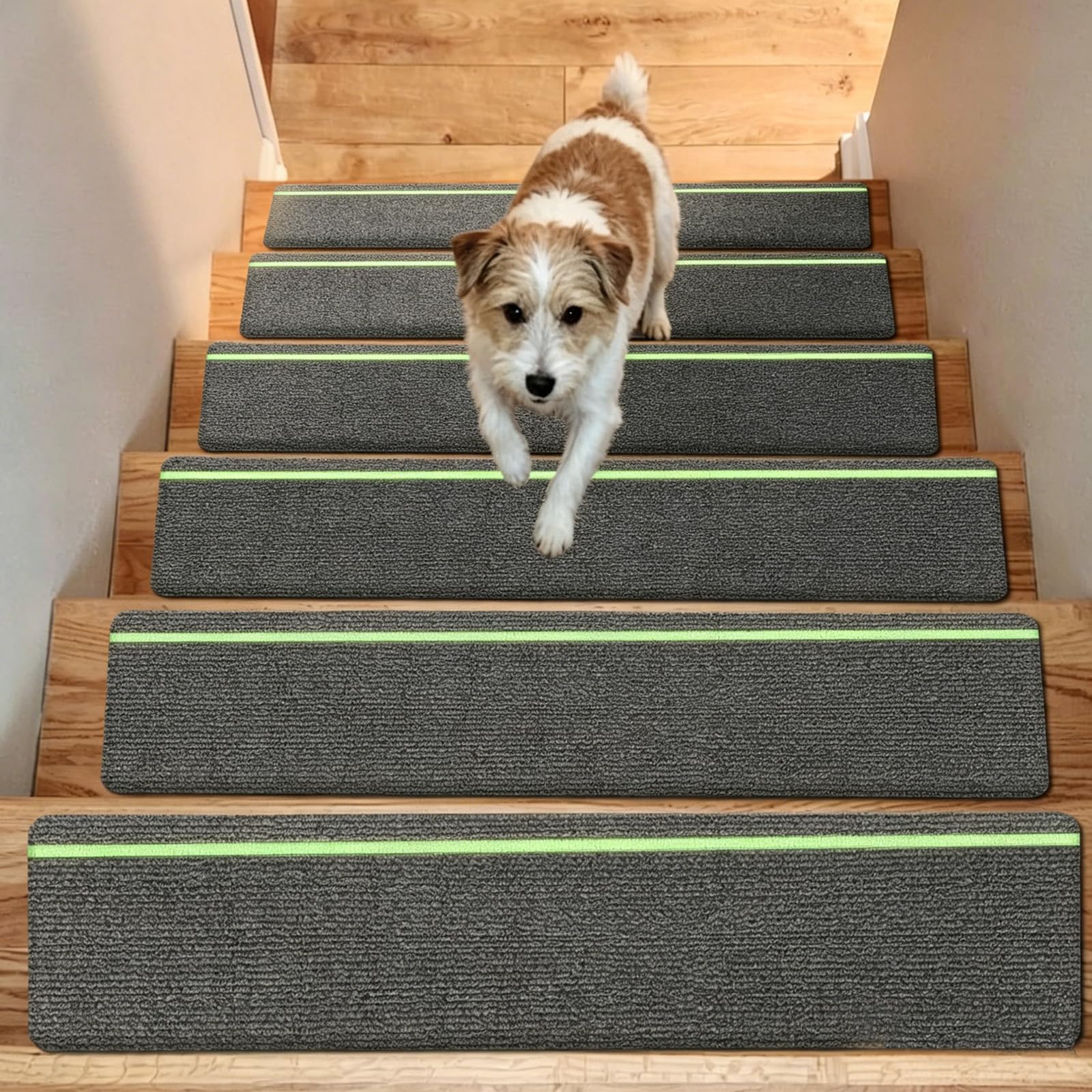 15 Stück Treppenmatten mit Glow in Dark Streifen, Selbstklebende Stufenmatten 76x20cm für Holztreppen, Antirutsch Treppenteppich mit TPE Rückseite, für Kinder, Senioren & Haustiere (Dunkelgrau)