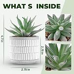 Der Rose Set of 2 Succulents Plants Artificial Fake Plants for Living Room Bathroom Bedroom Aesthetic Home Shelf Decor Indoor