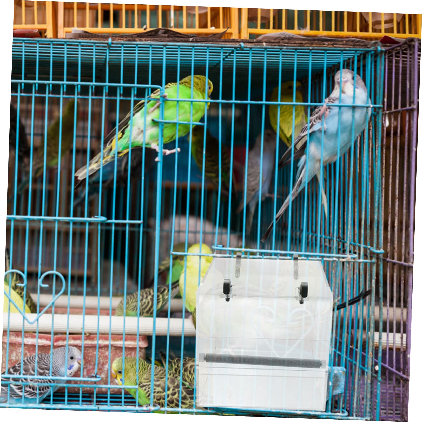 VICASKY Mangeoire pour Oiseaux Automatique Gamelle pour Perroquets Accessoire pour Cage Bol Alimentation pour Oiseaux