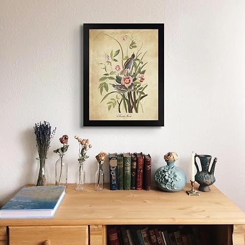 Vista 36 de Towee Bunting by James Audubon - Marco biselado negro de 12 x 16 pulgadas, decoración artística enmarcada para pared, reproducción de pinturas