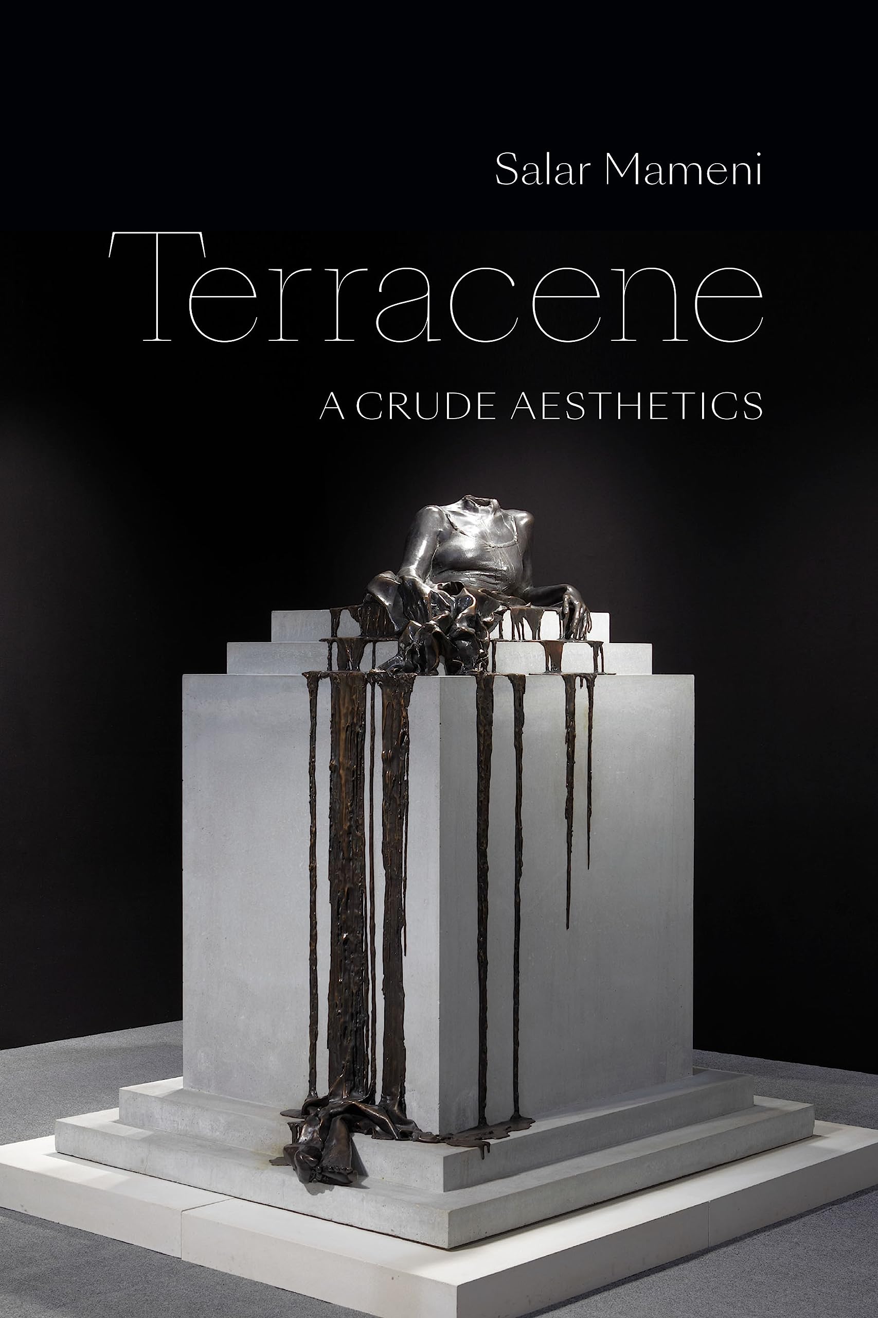 Terracene: A Crude Aesthetics (ANIMA: Critical Race Studies Otherwise)