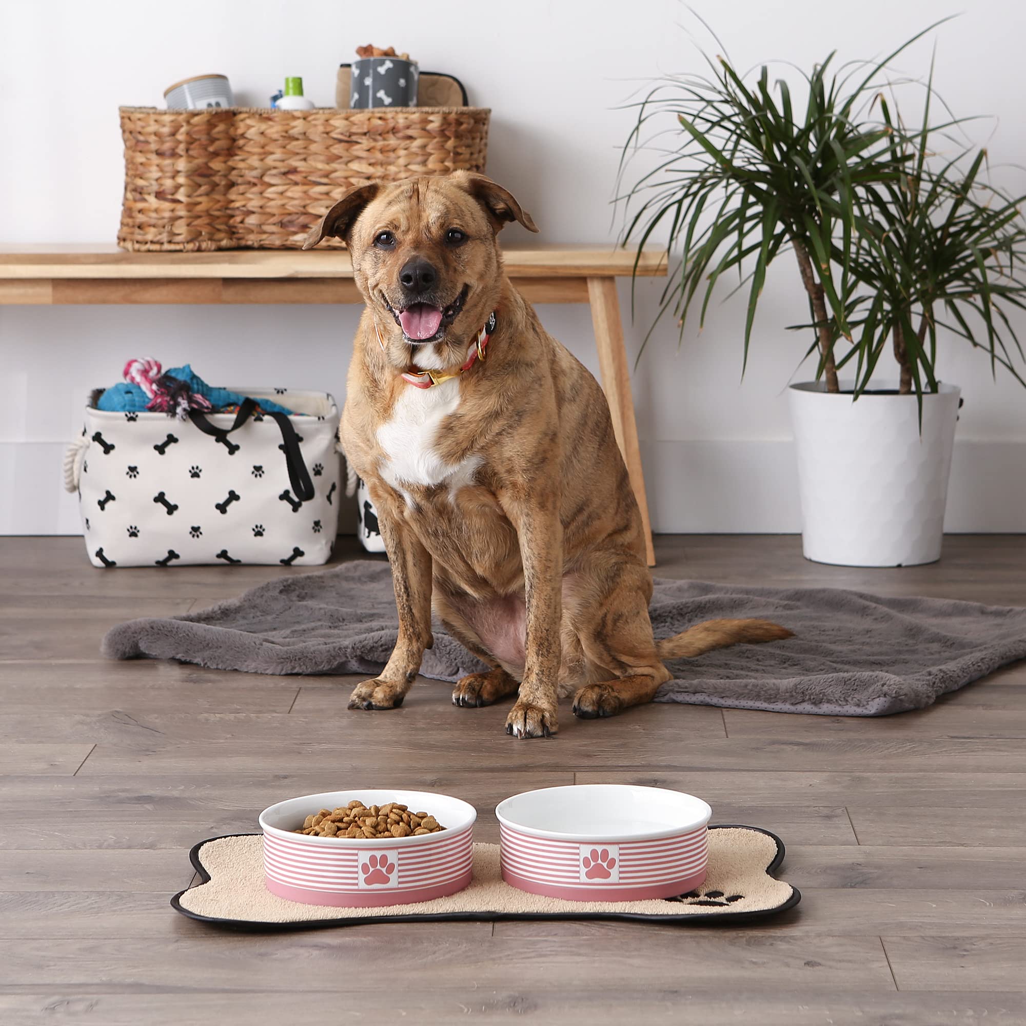 Bone Dry Paw & Patch Ceramic Pet Collection, Large Set, 7.5x2.4, Rose, 2 Piece, Large Set, 7.5x2.4" - Image 4