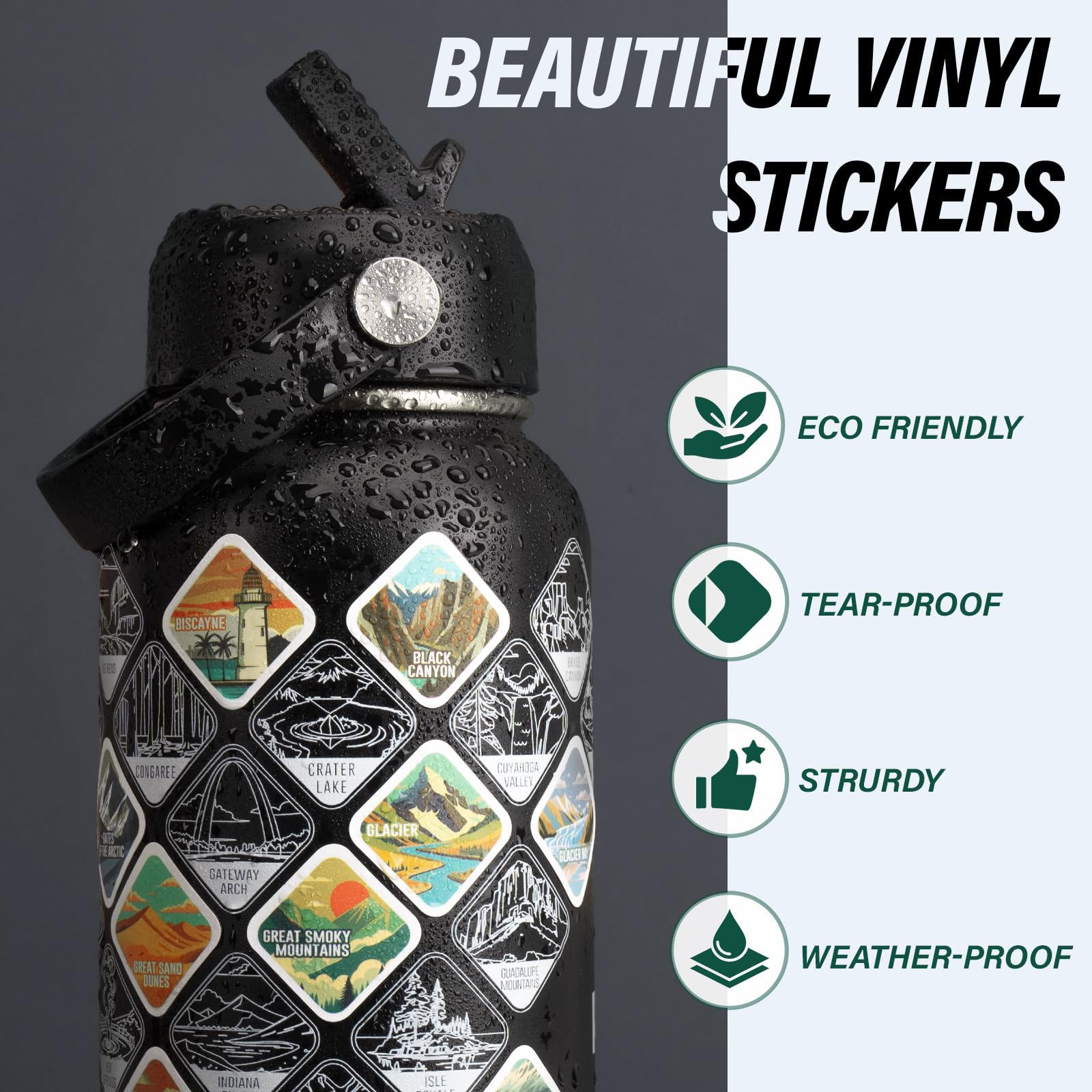 DYSANKY National Parks - Borraccia termica in acciaio inox da 907 ml, con 63 adesivi disegnati a mano, accessori per esterni e confezione regalo, senza BPA, ideale per escursioni, campeggio e viaggi