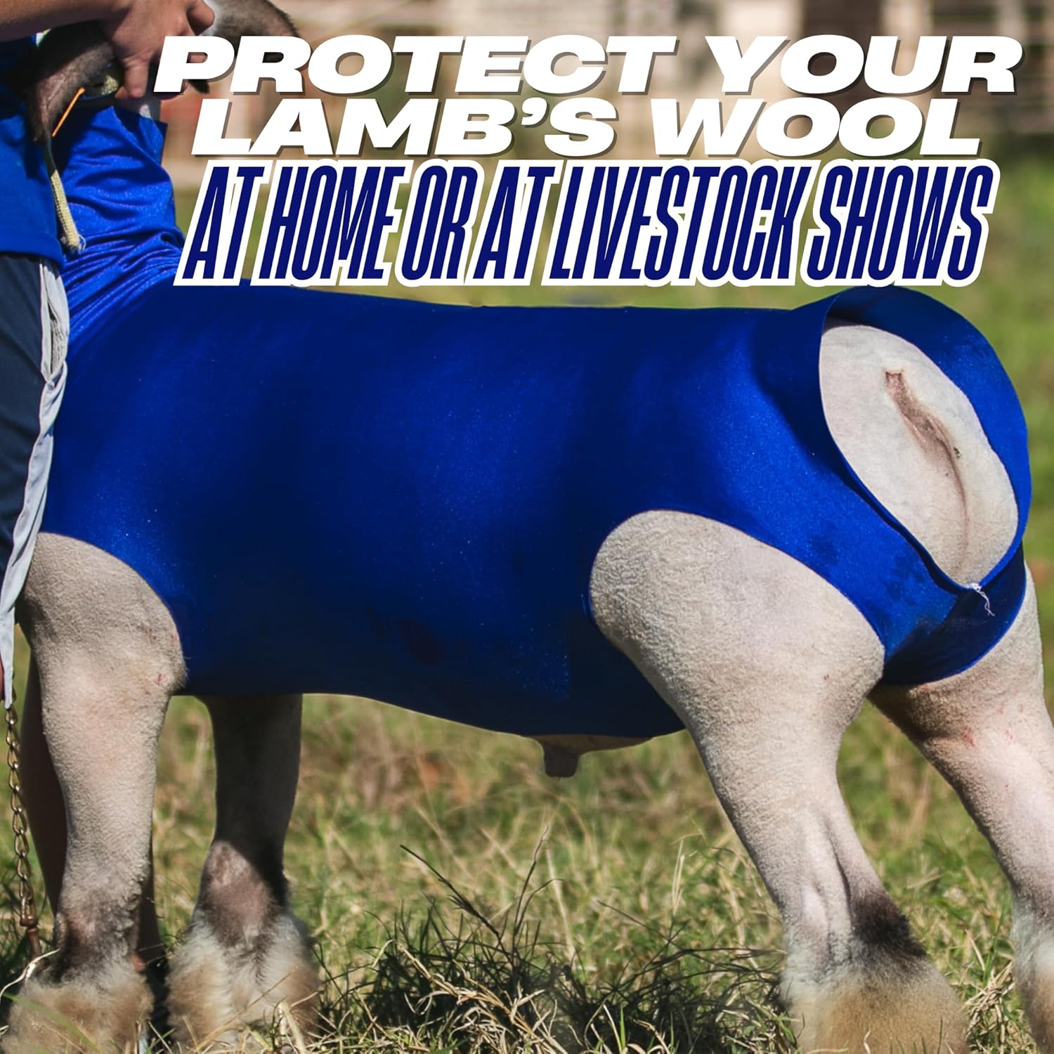 Show Pro Blue Spandex Lamb Tube for Show Sheep & Lamb - Show Livestock Supplies: Sheep Covers & Blankets