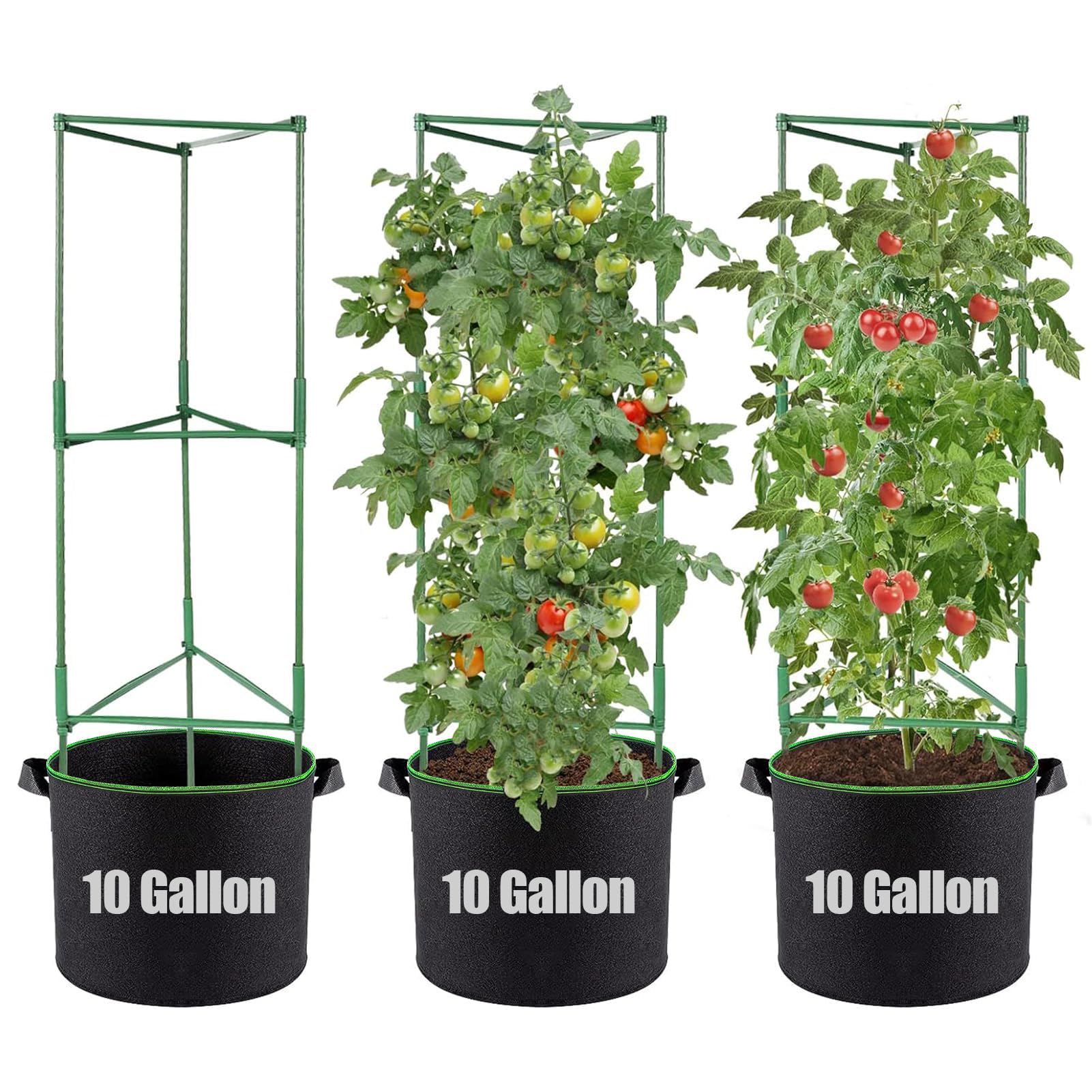 ANPHSIN Triangle Cage 3-Set