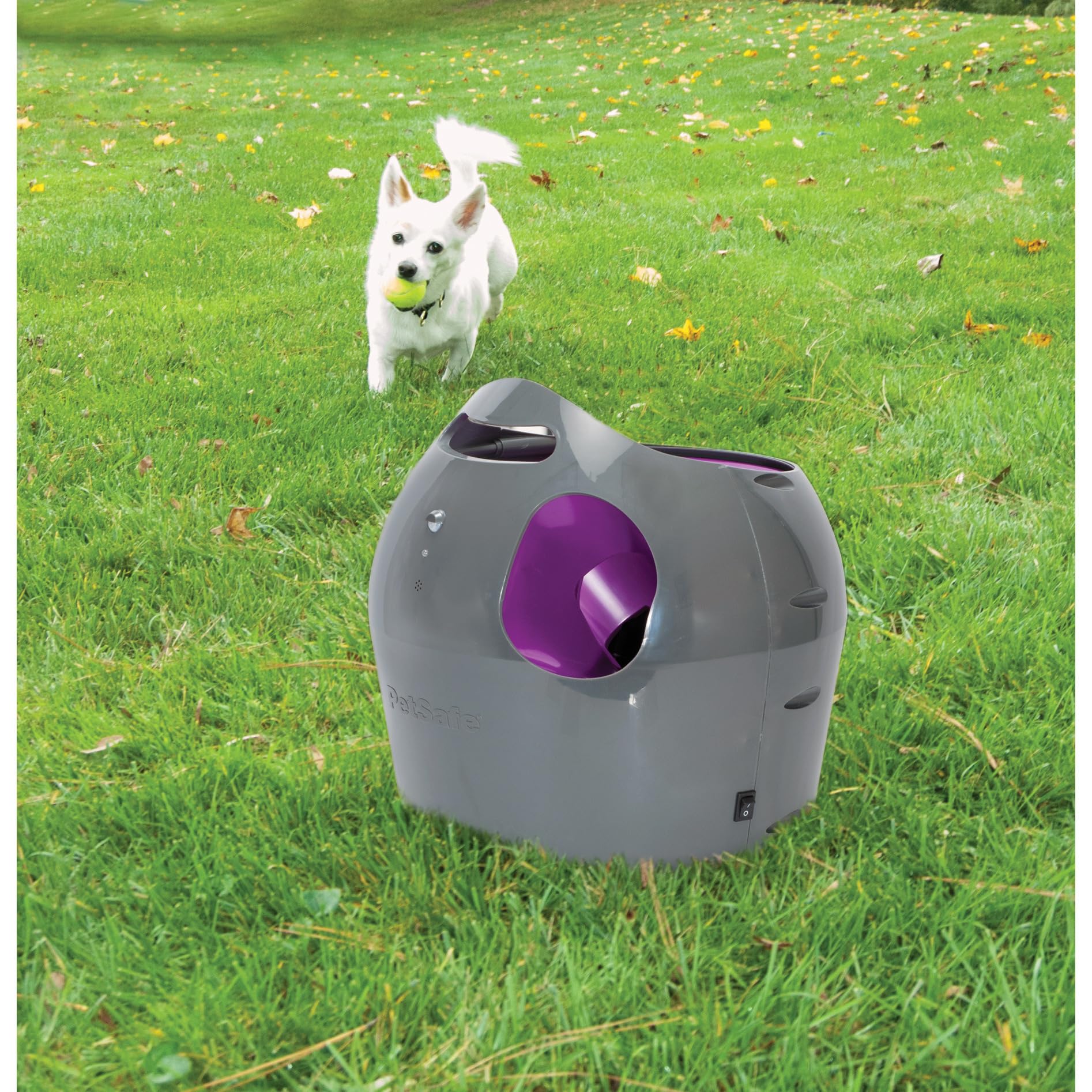 PetSafe Lanzador de Pelotas Automático | Juego de Cobro Interactivo, Distancia Ajustable, Pelotas de Tenis Incluidas