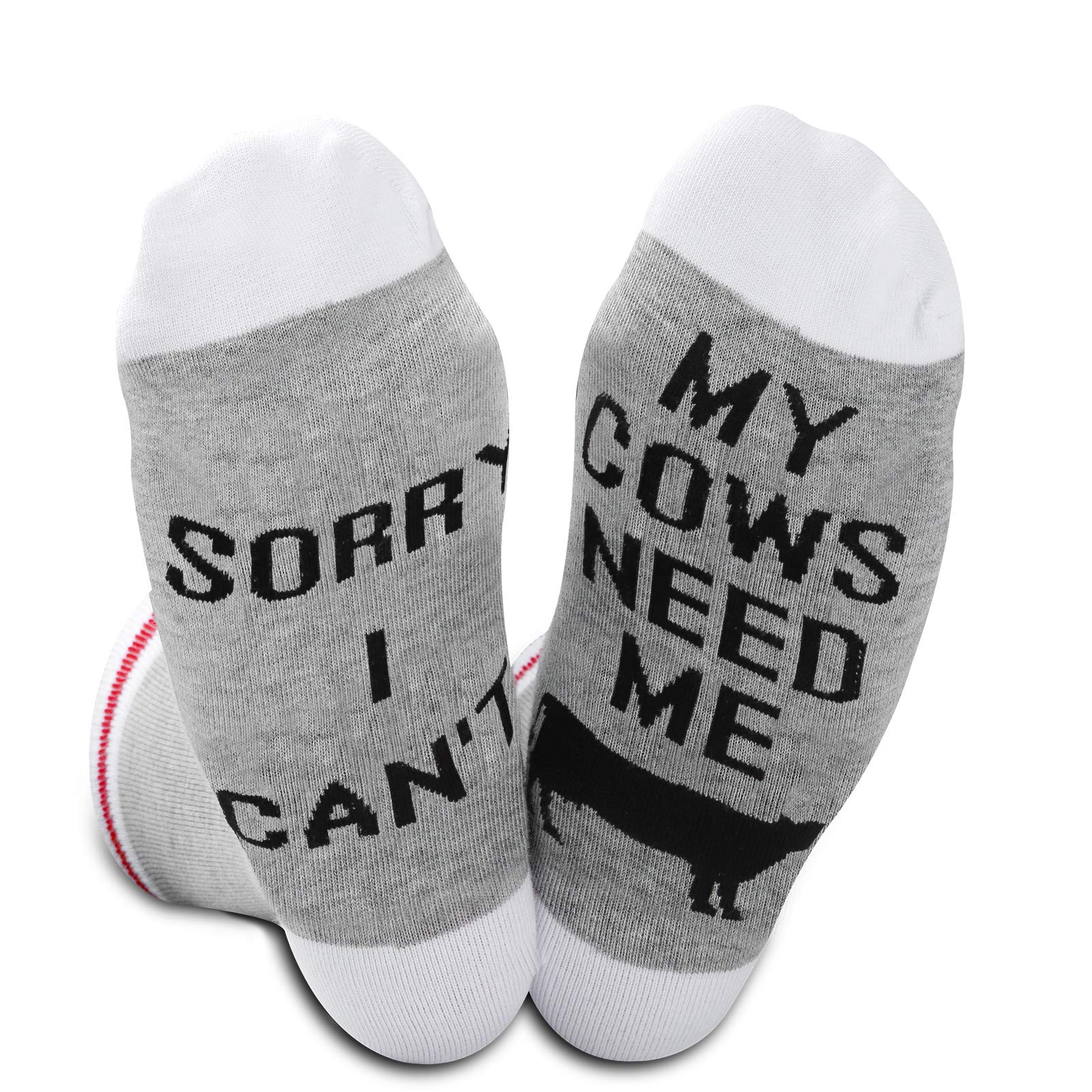 GJTIM 2PAIRS Farm Sock Farming Gift Sorry I Can't My Chickens Need Me Funny Chicken Socks For Farmer