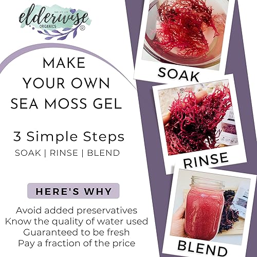 Miniatura 3 de Sea Moss  Morado  Hace 24 onzas de gel  Crudo + sin OMG  Surtido  Wild Rafted