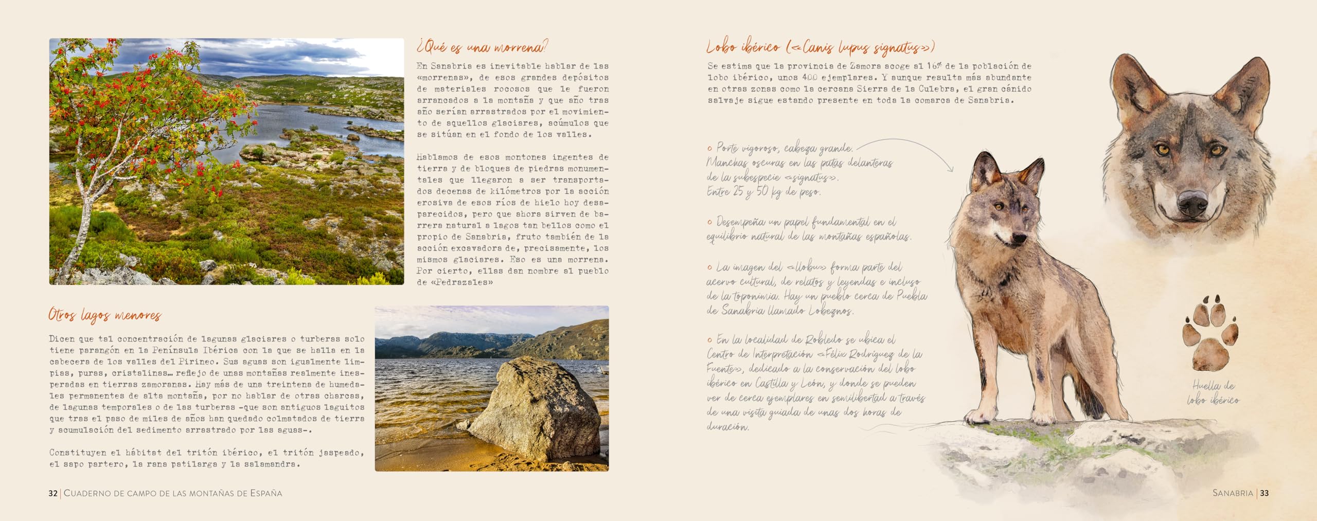 Cuaderno de campo de las montañas de España (Guías Singulares)
