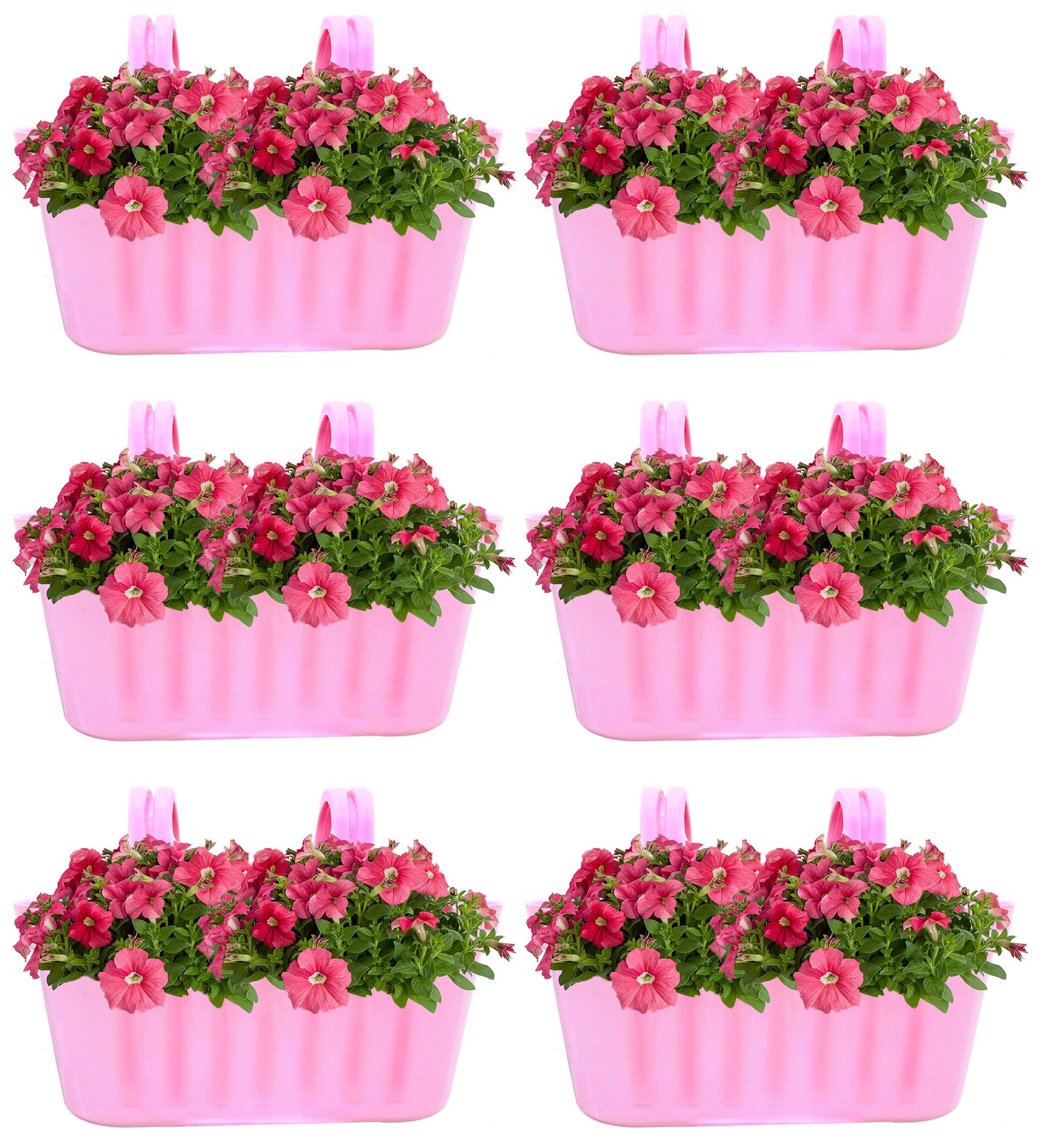 GARDEN DECO Plastic Double Hook Hanging Pot, Plant Container with Durable Plastic Glossy Finish Pots for Home, Balcony, and Garden indoor or outdoor (Set of 6 Pcs, Baby-Pink) (B0CZ6P7SZC) Amazon Price History, Amazon Price Tracker