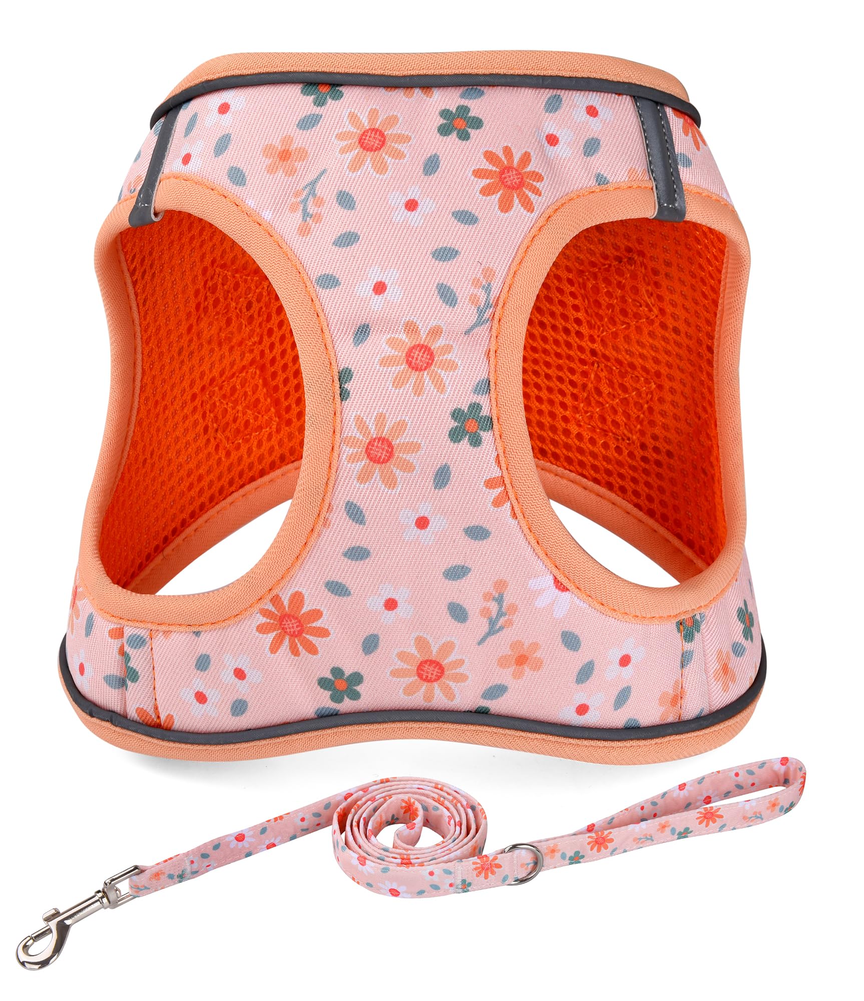 Mihqy Step in Dog Harness and Leash Set, Reflective Adjustable No Pull Dog Harness for Extra-Small/Small Dogs Puppy and Cats, Soft Padded Mesh Vest Harnesses for Girl and Boy Pets(Orange Floral,S)