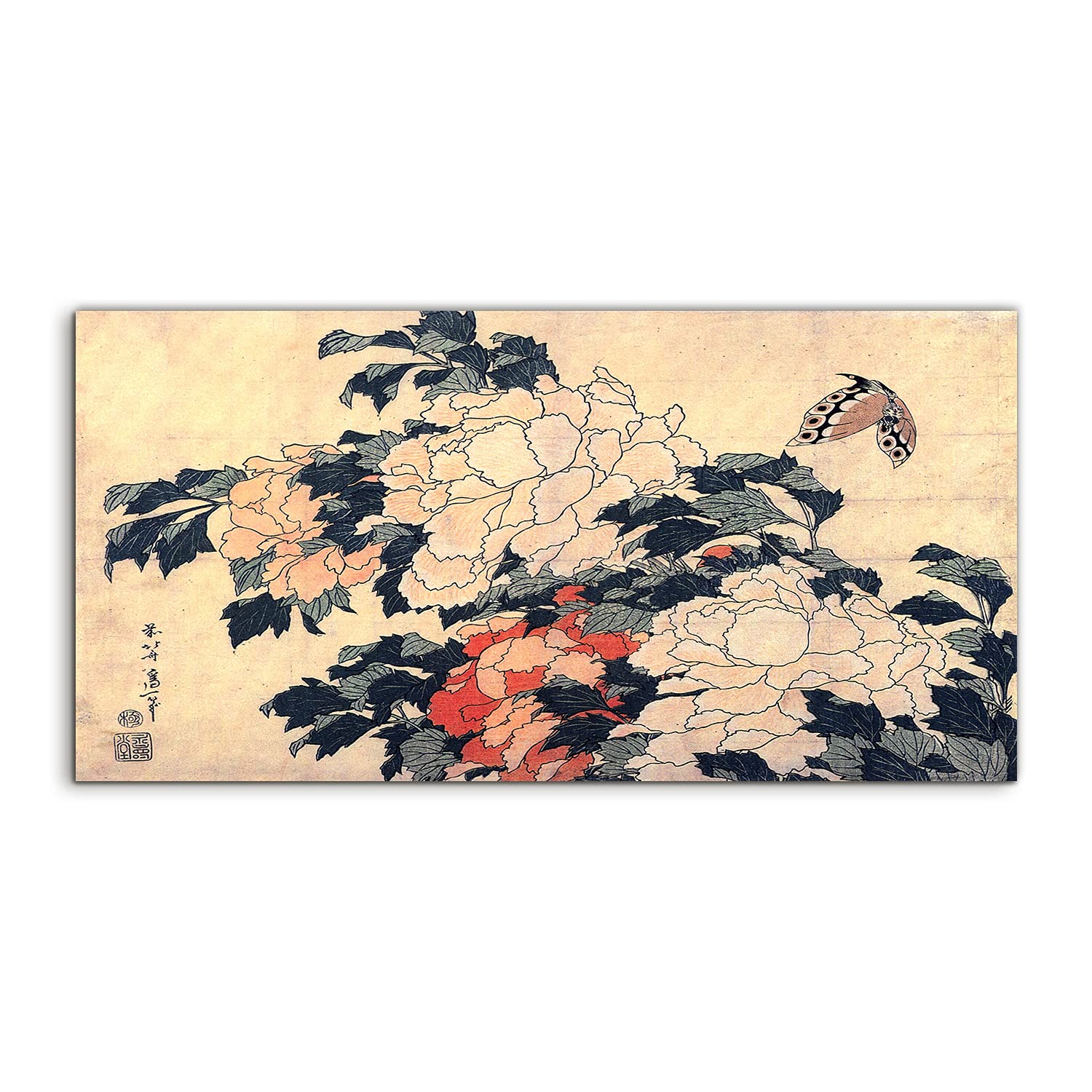 Image sur verre 100x50cm Peonies Coloray pour decoration murale salon - 8