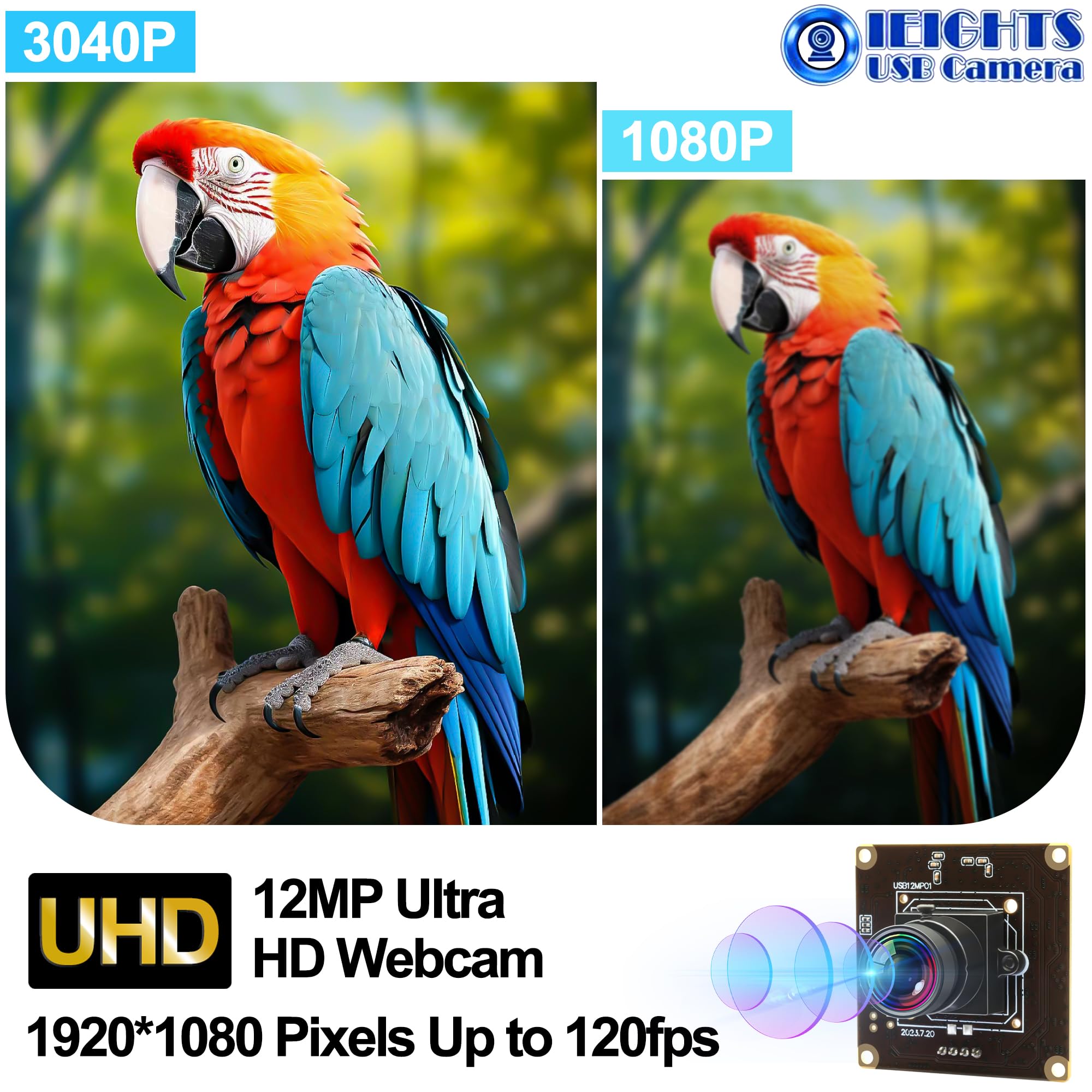 120fps Modulo Fotocamera USB Grandangolare Obiettivo a bassa distorsione 100 gradi Scheda Webcam per Laptop 11.6mp Lightburn Camera Mini UVC USB2.0 Ad alta velocità Macchina fotografica Web di