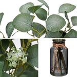 DILATATA Artificial Eucalyptus Stems in Glass Vase with Faux Water, 14" Fake Plant Eucalyptus Leaves for Home Office Farmhouse Wedding Centerpiece Décor
