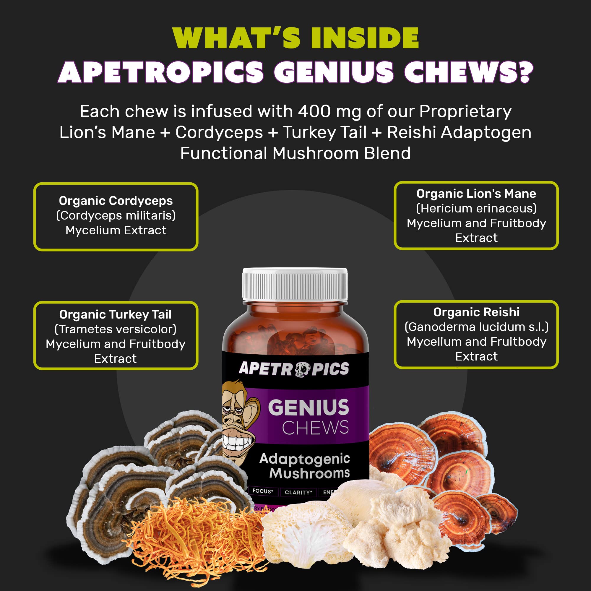 Introducing Apetropics One Chews: A New Way to Support