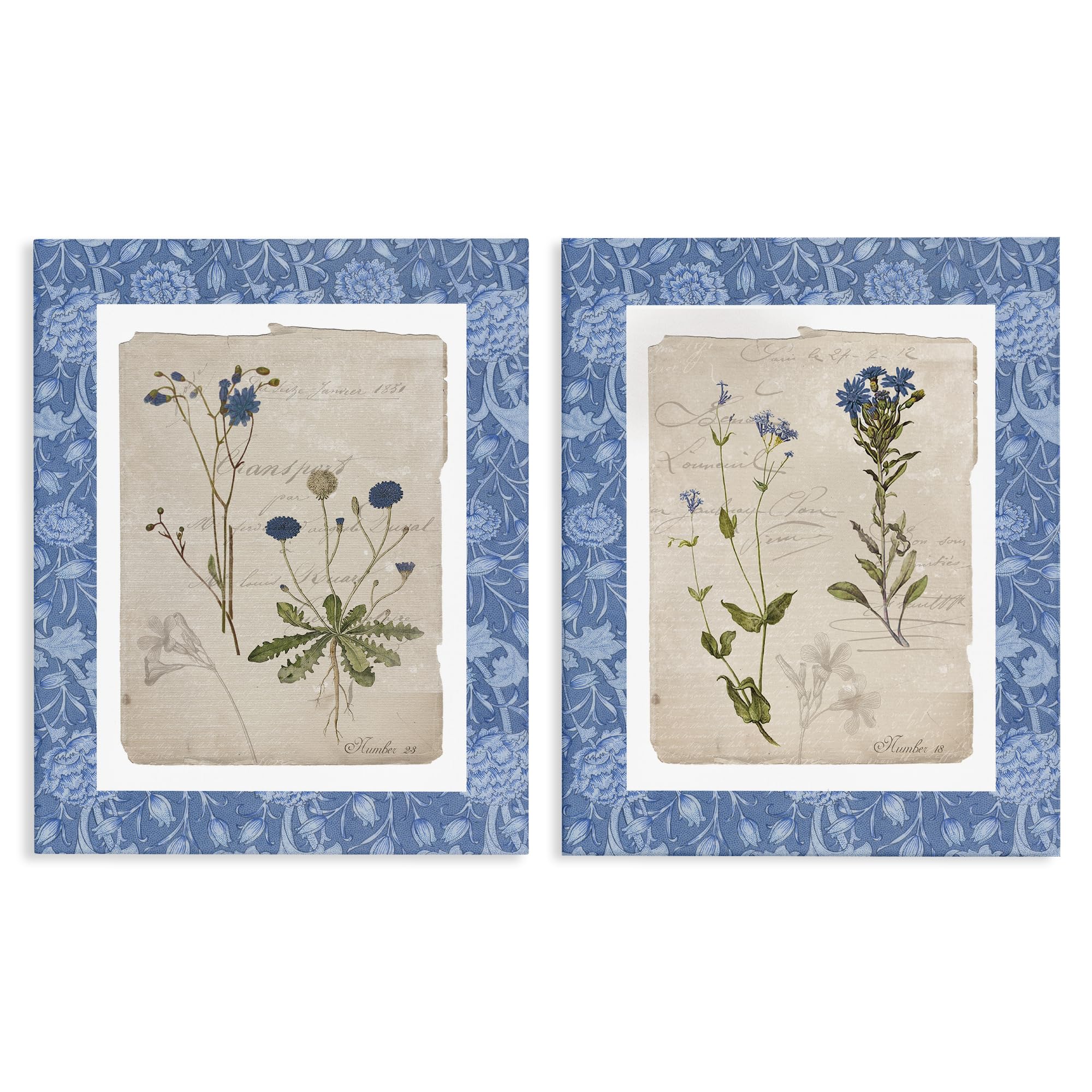 Stupell Industries Vintage Botanical Specimen Blue 'Blue Botanical Herbs'| 2Pc Canvas Art Set 2