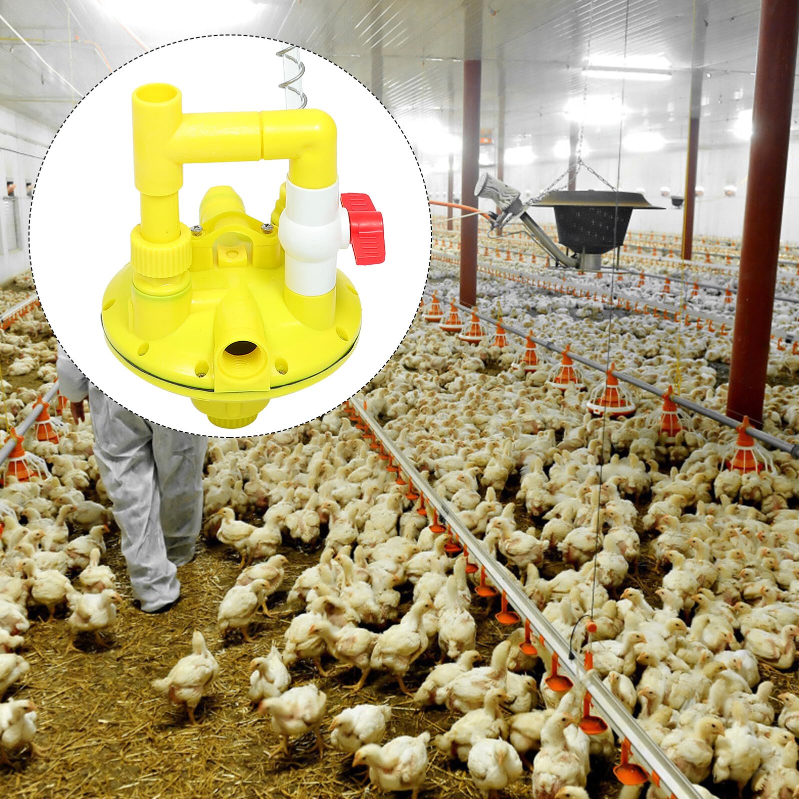 GANAZONO Regolatore di Pressione Acqua per Pollame Valvola di Decompressione Automatica per Abbeveratoi Galline con Display Acqua Uso Duraturo e Facile Installazione per Allevamenti
