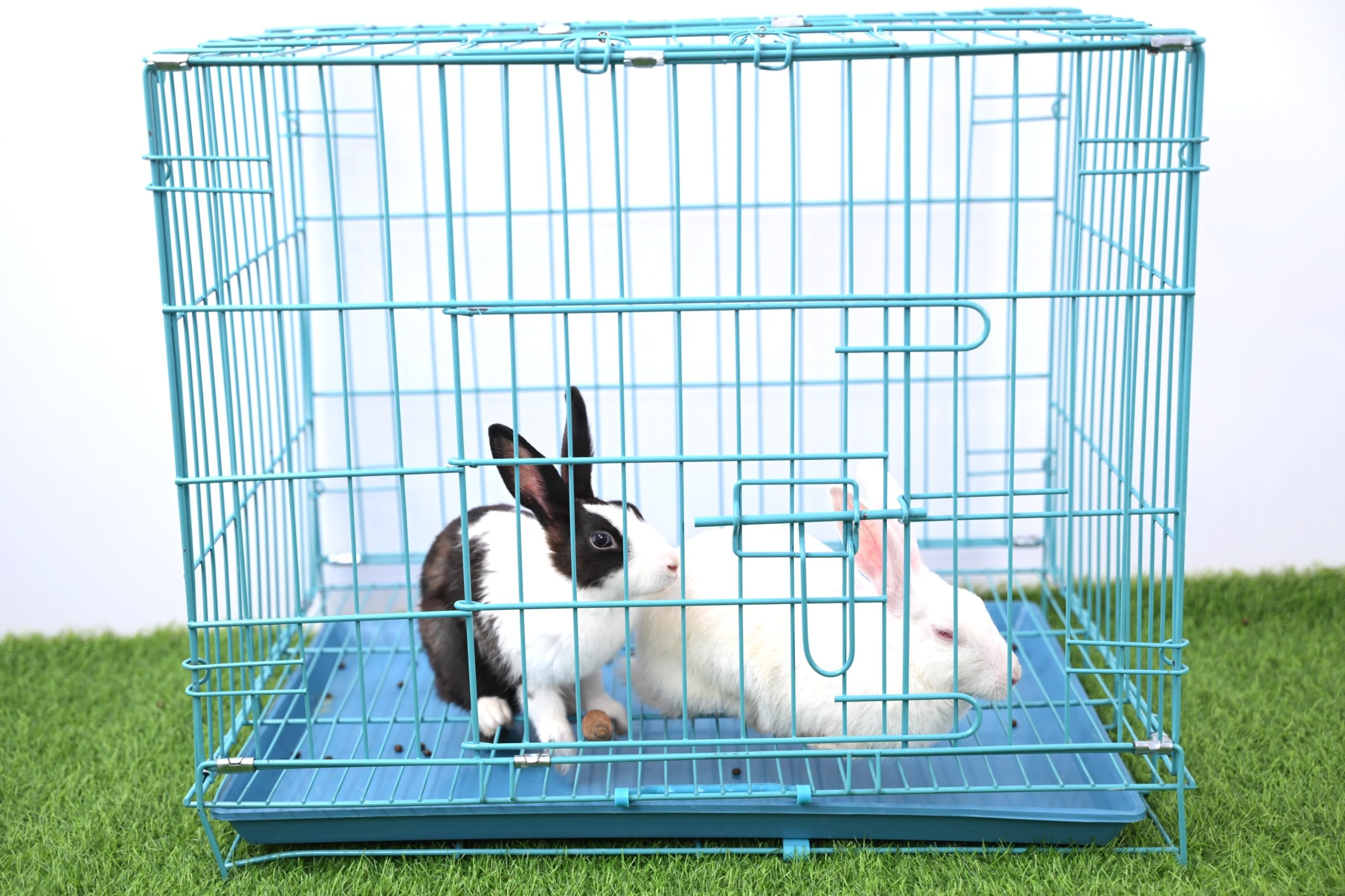 RvPaws Blue Powder Coated 24-inch Iron Cage with Removable Tray for Dog (Small) (B09J28BQVQ) Amazon Price History, Amazon Price Tracker
