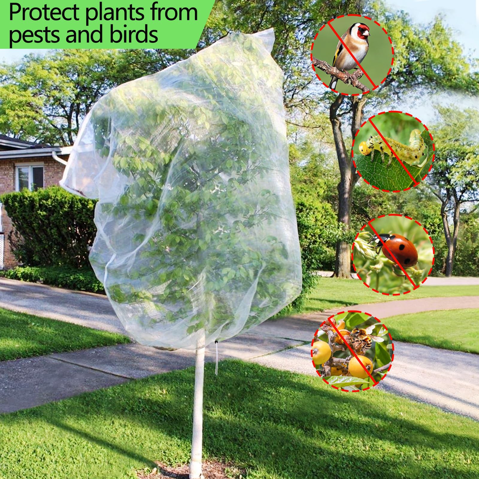 Rete per Alberi da Frutto, Borsa per Rete Protettiva 3x3m - Anti Uccelli e Insetti con Cordino e Cerniera Regolabile - Copertura Large Piante per Giardino/Esterni Maglia Fine